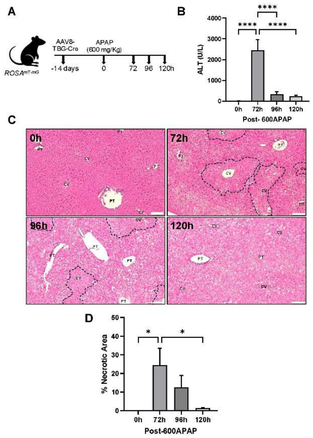 Preprints 231884 g005 Preprints 231884 g005