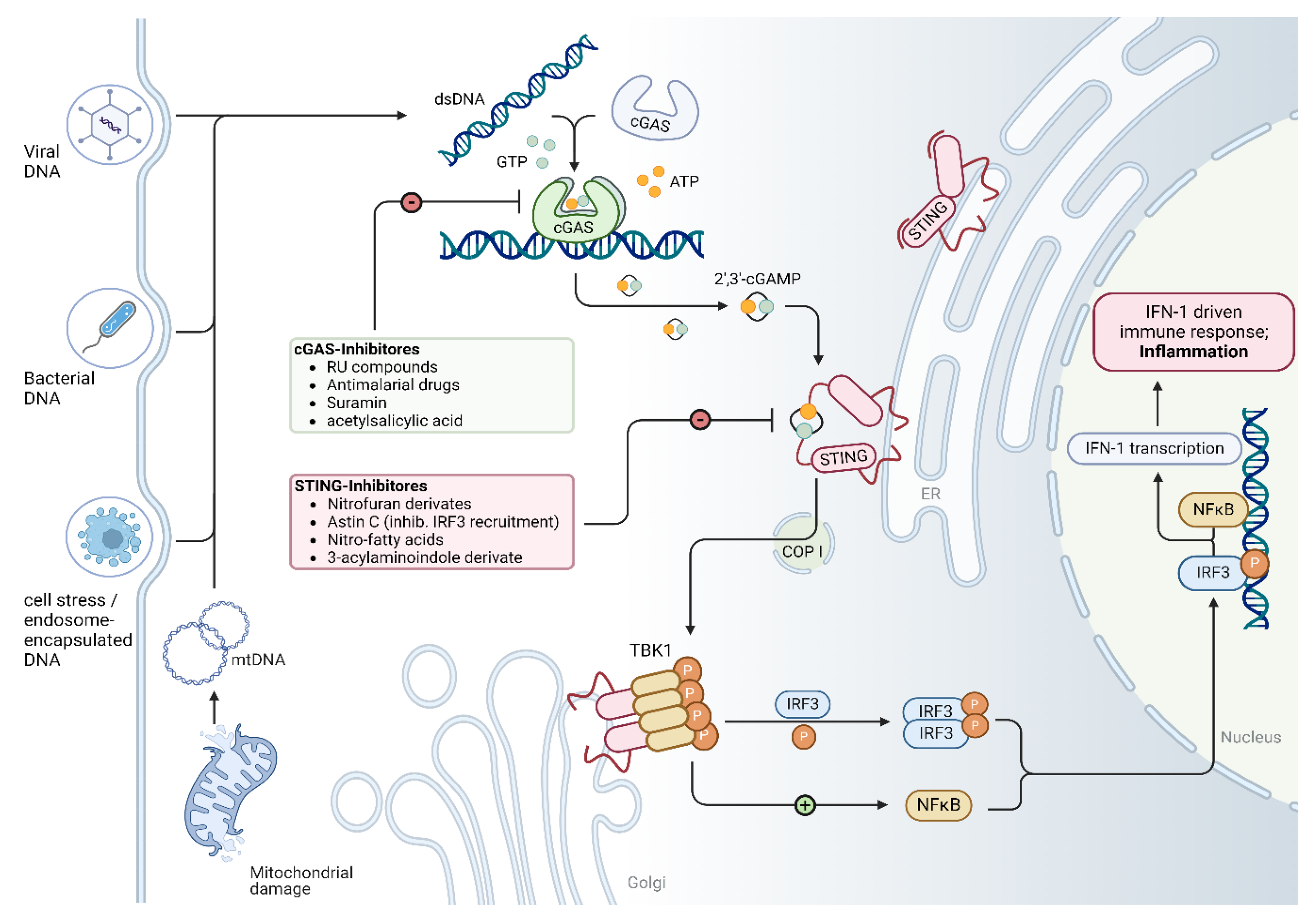 Preprints 157053 g001