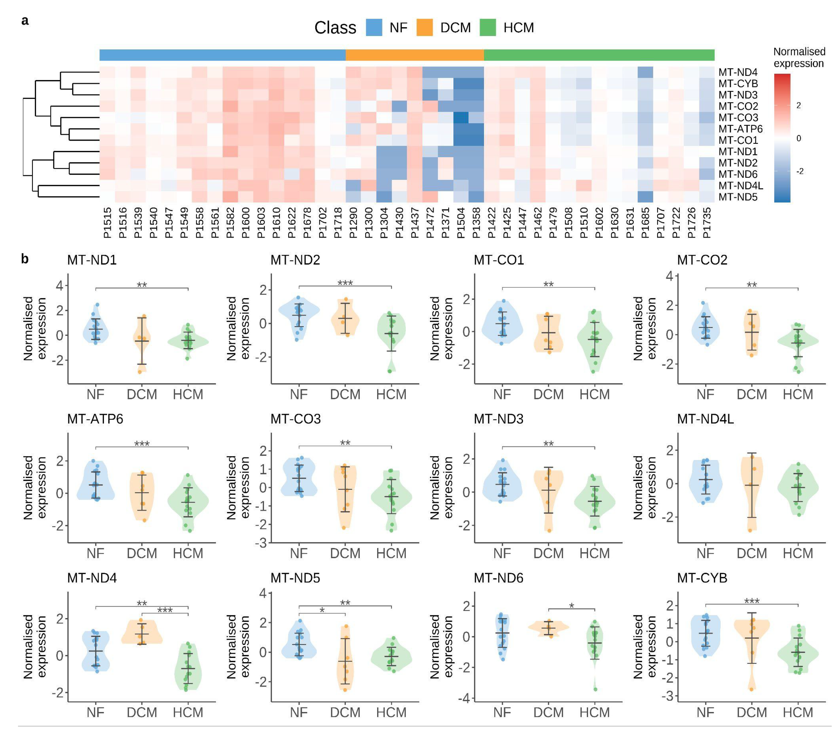 Preprints 157053 g002