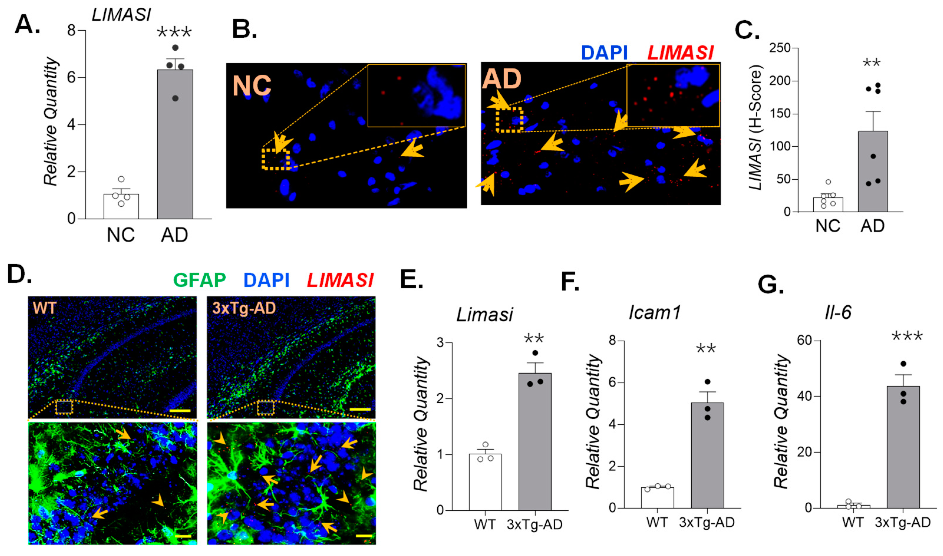 Preprints 195648 g002