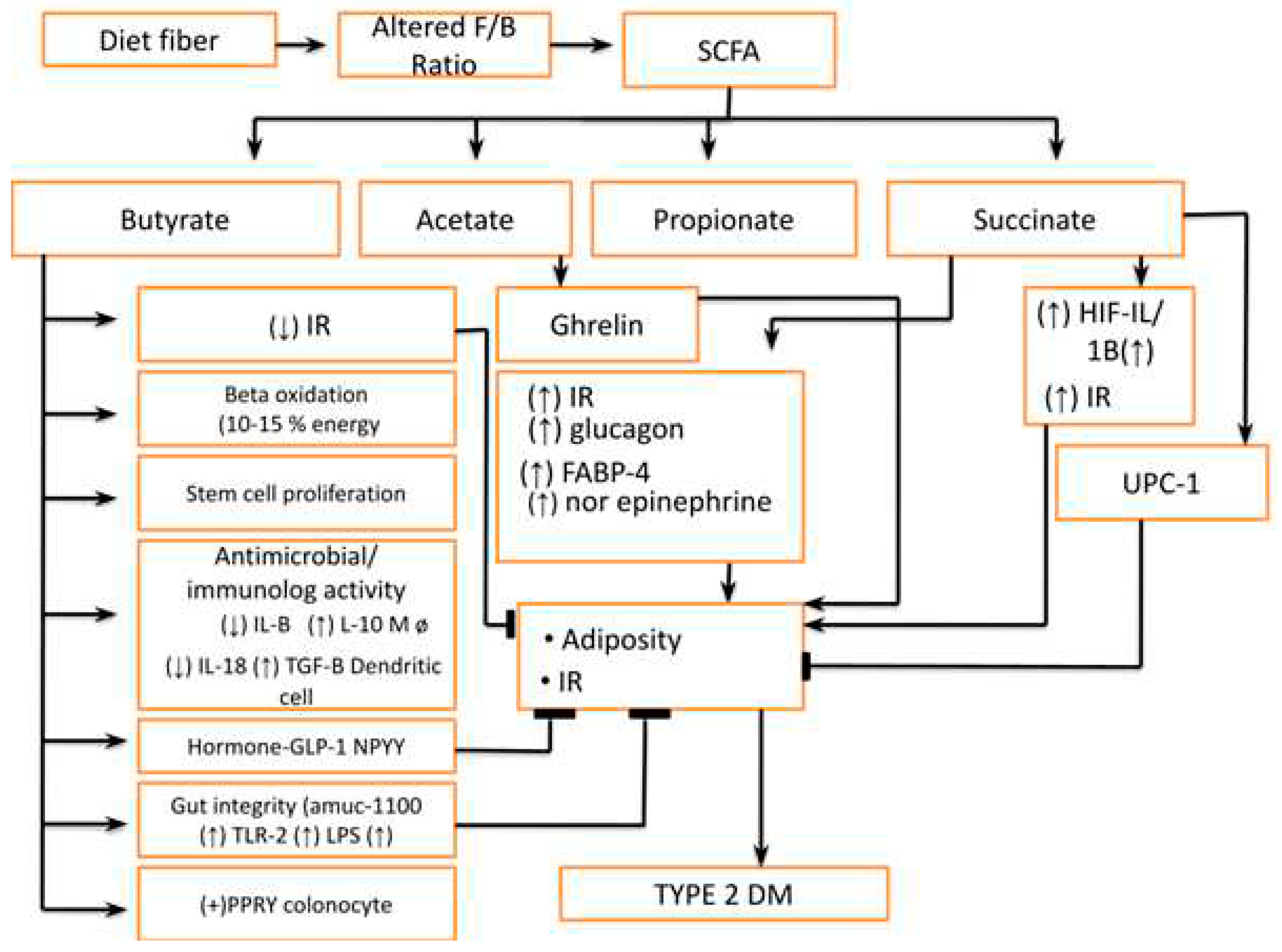 Preprints 77209 g004