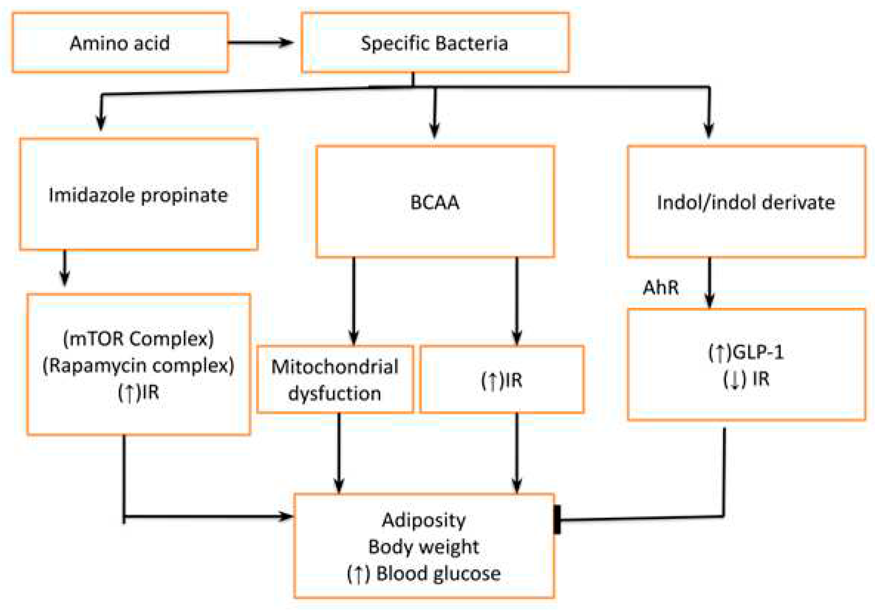 Preprints 77209 g005