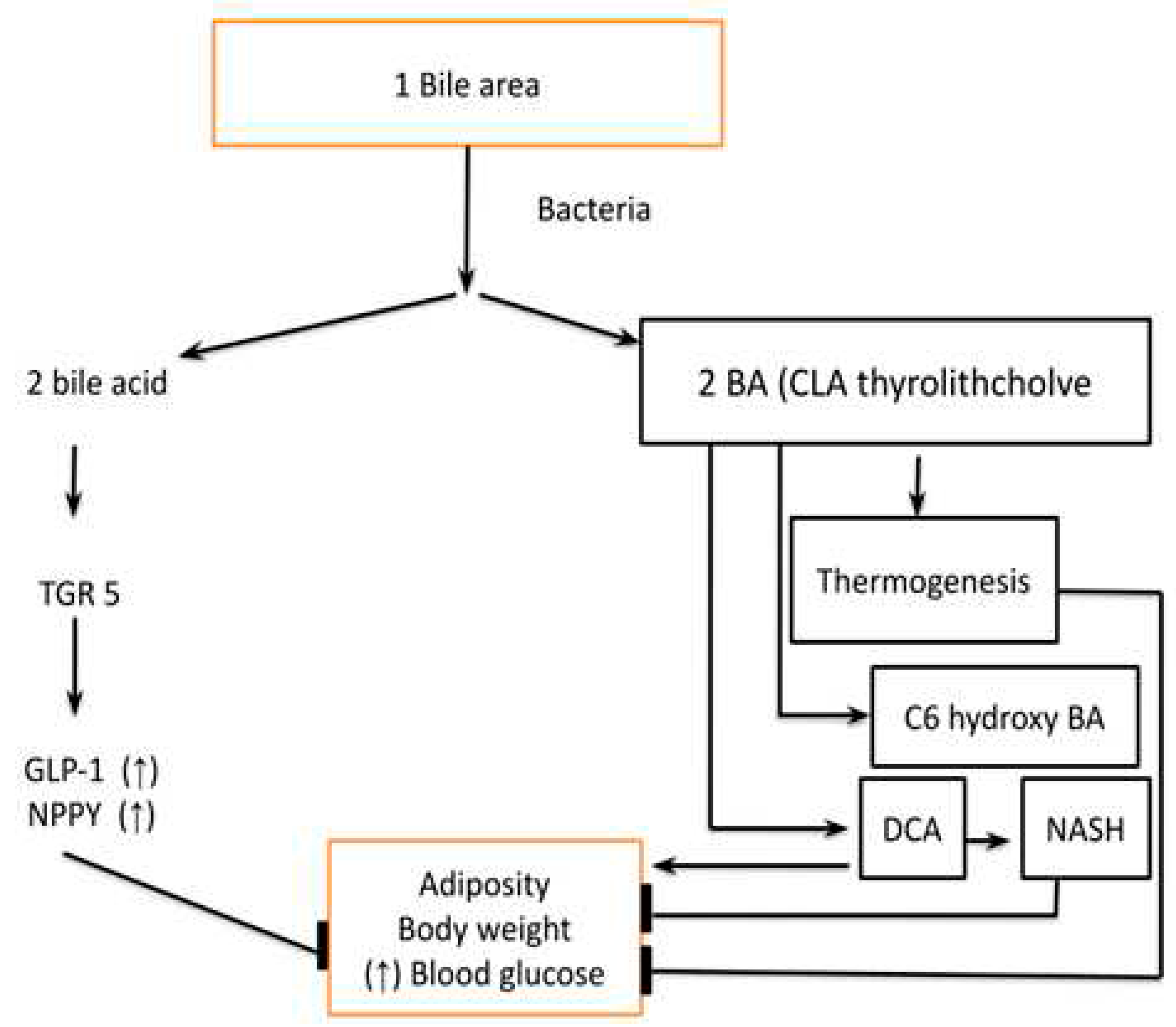 Preprints 77209 g006