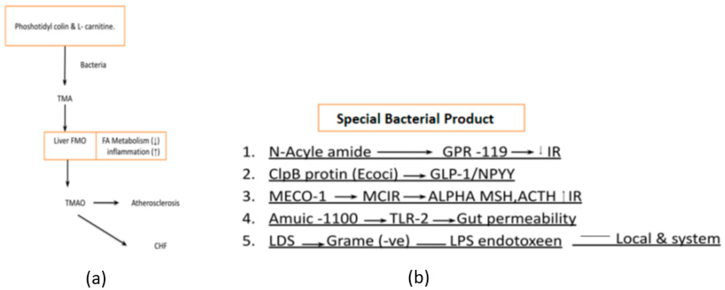 Preprints 77209 g007