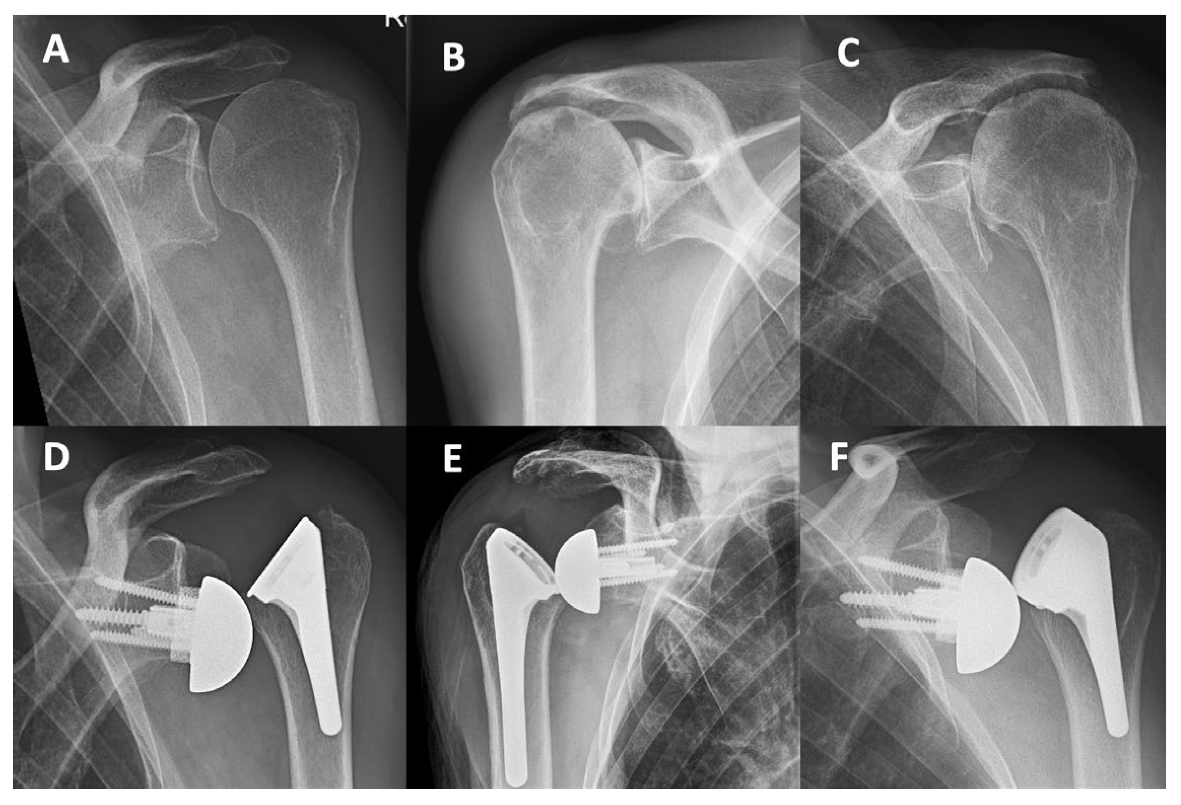 Preprints 148371 g005