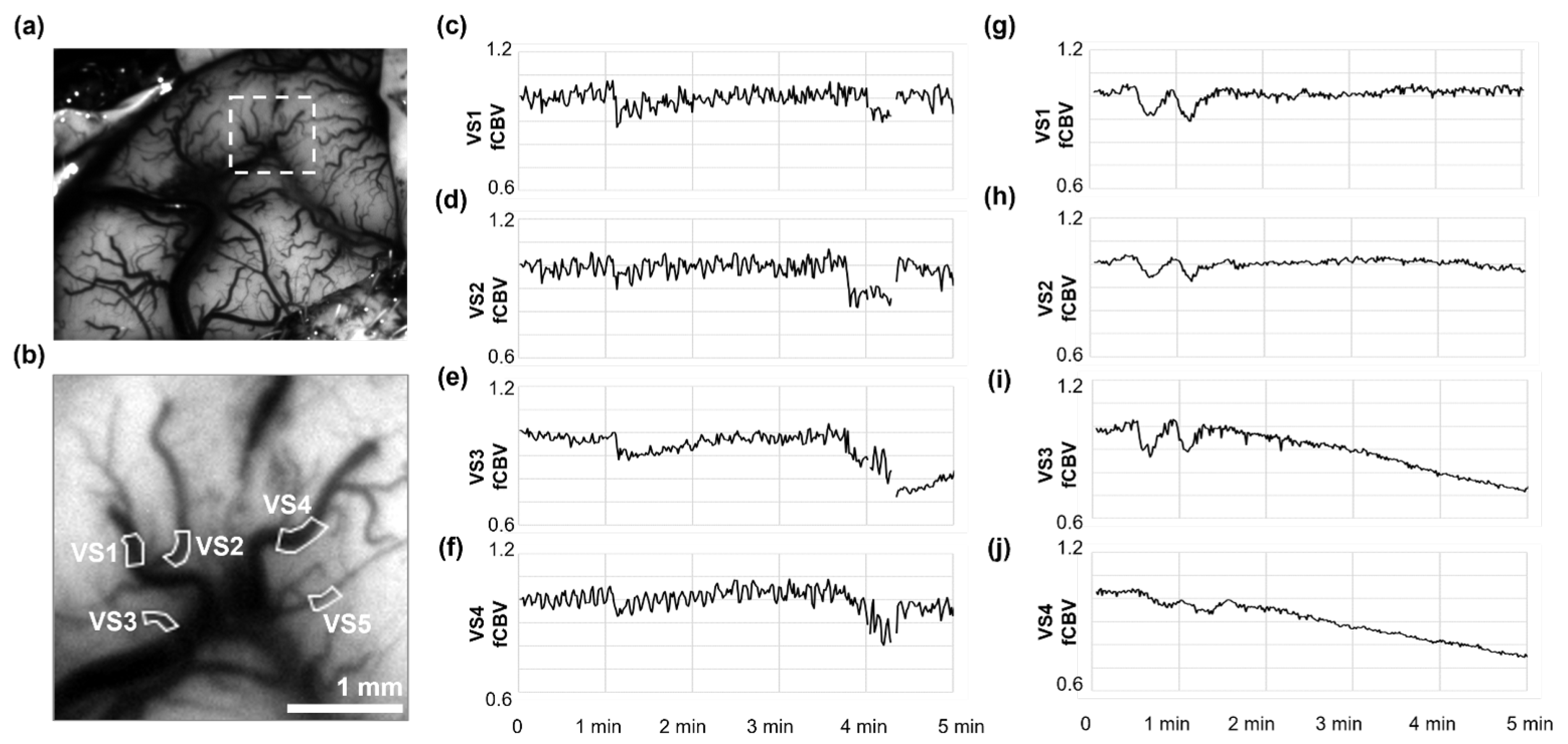 Preprints 172952 g003