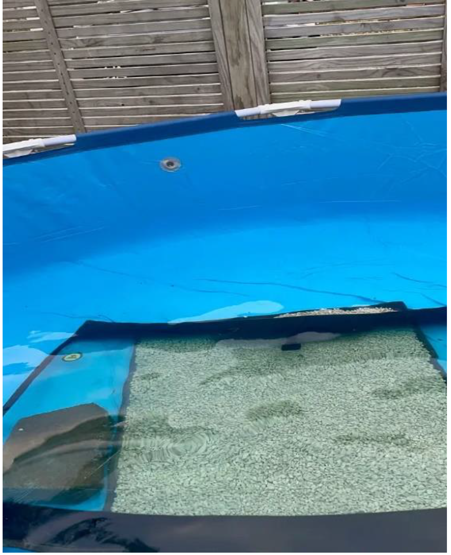 Preprints 142966 g001