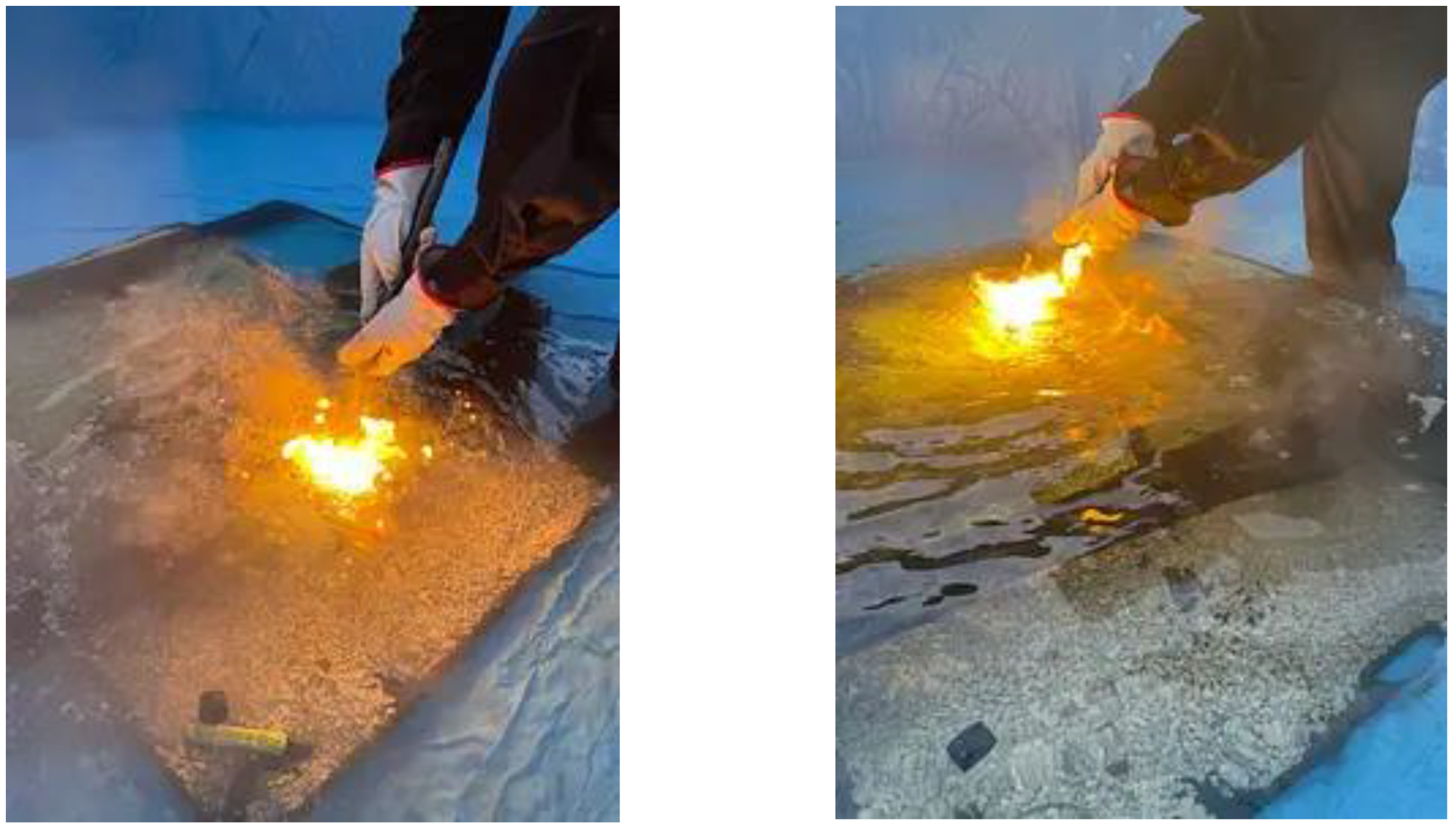 Preprints 142966 g002