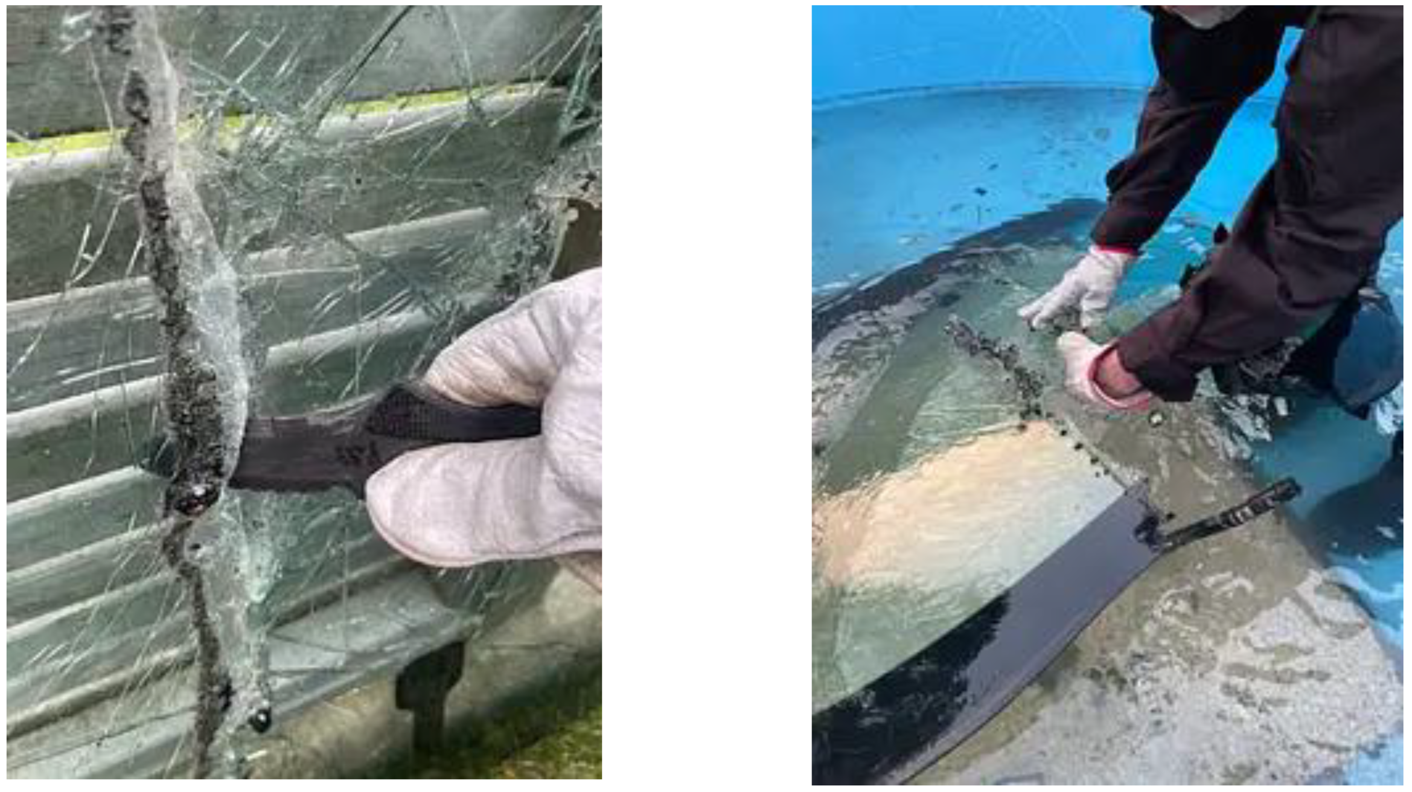 Preprints 142966 g004