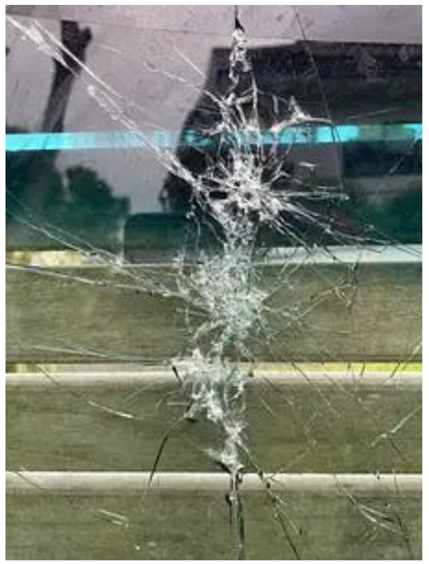 Preprints 142966 g005