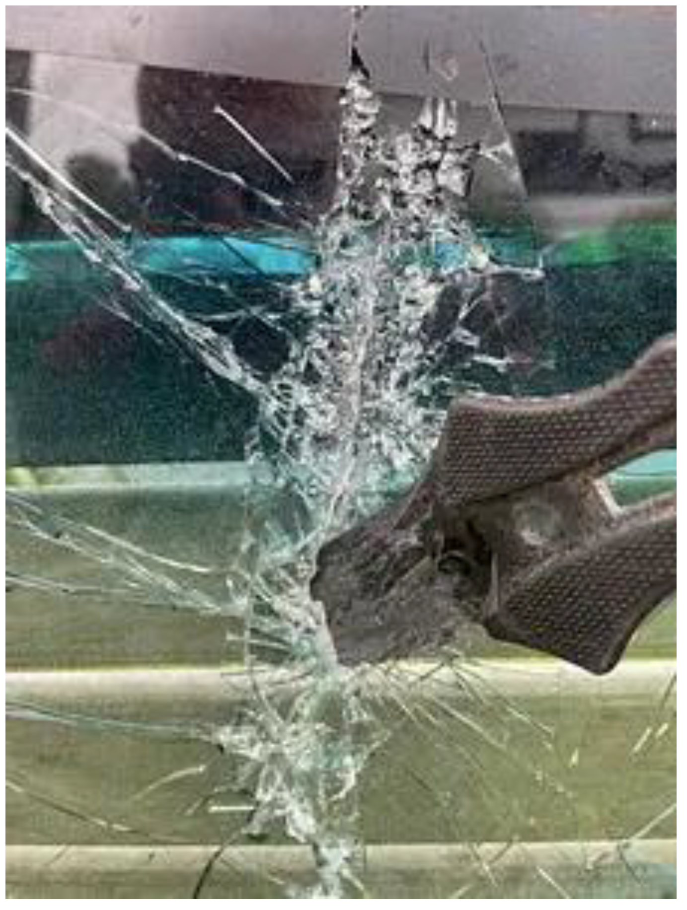 Preprints 142966 g006