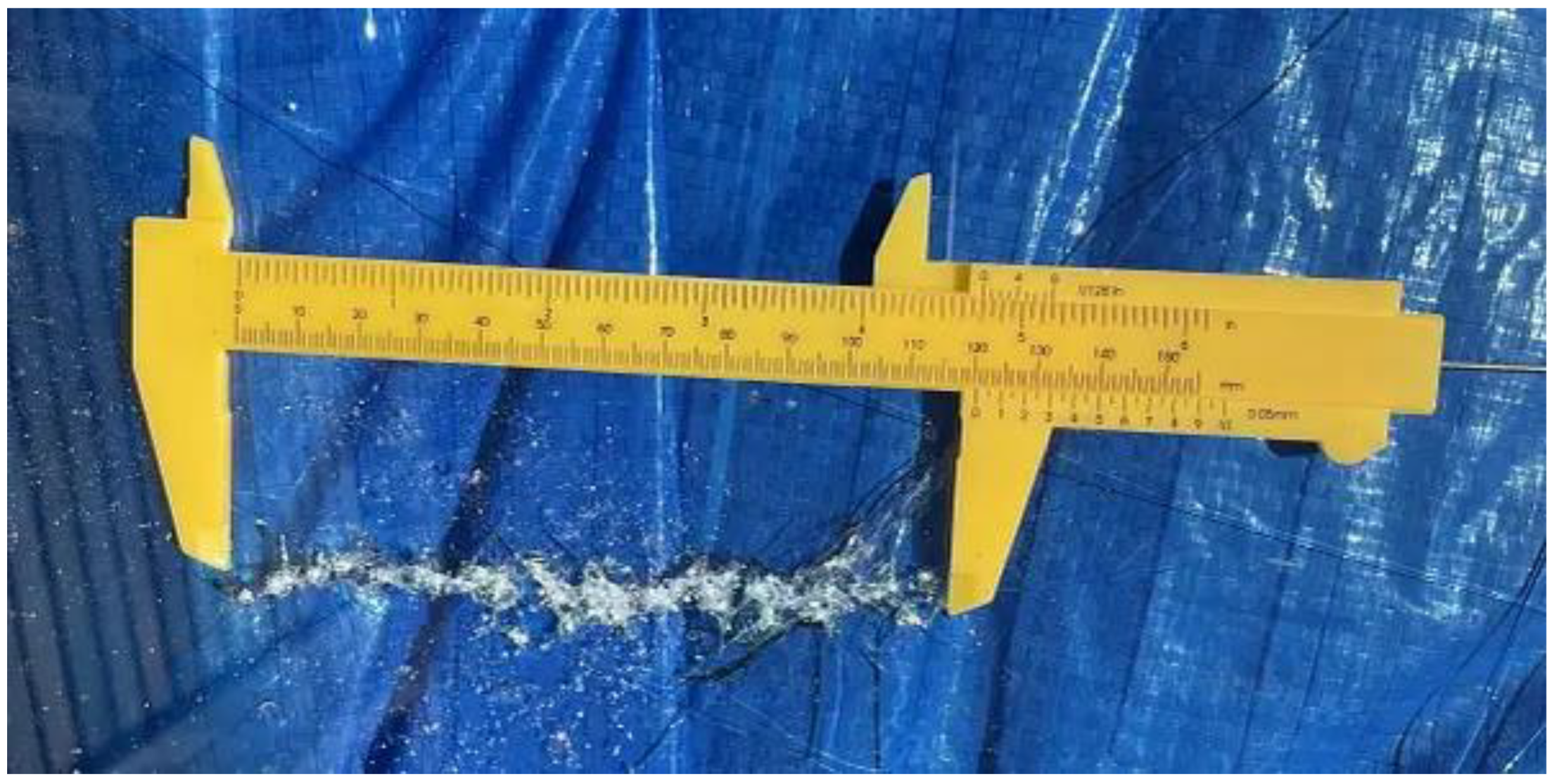 Preprints 142966 g007