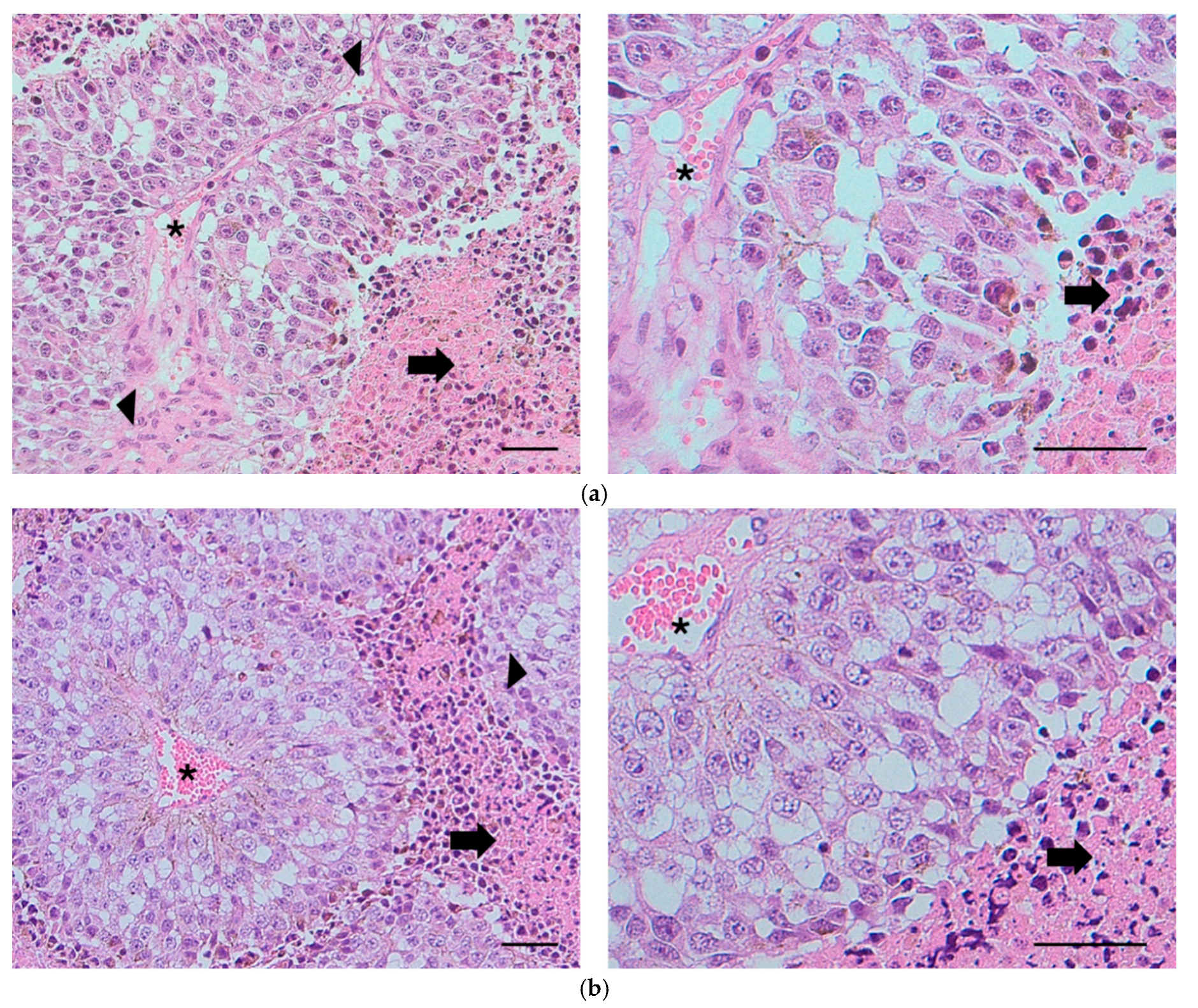 Preprints 166683 g005