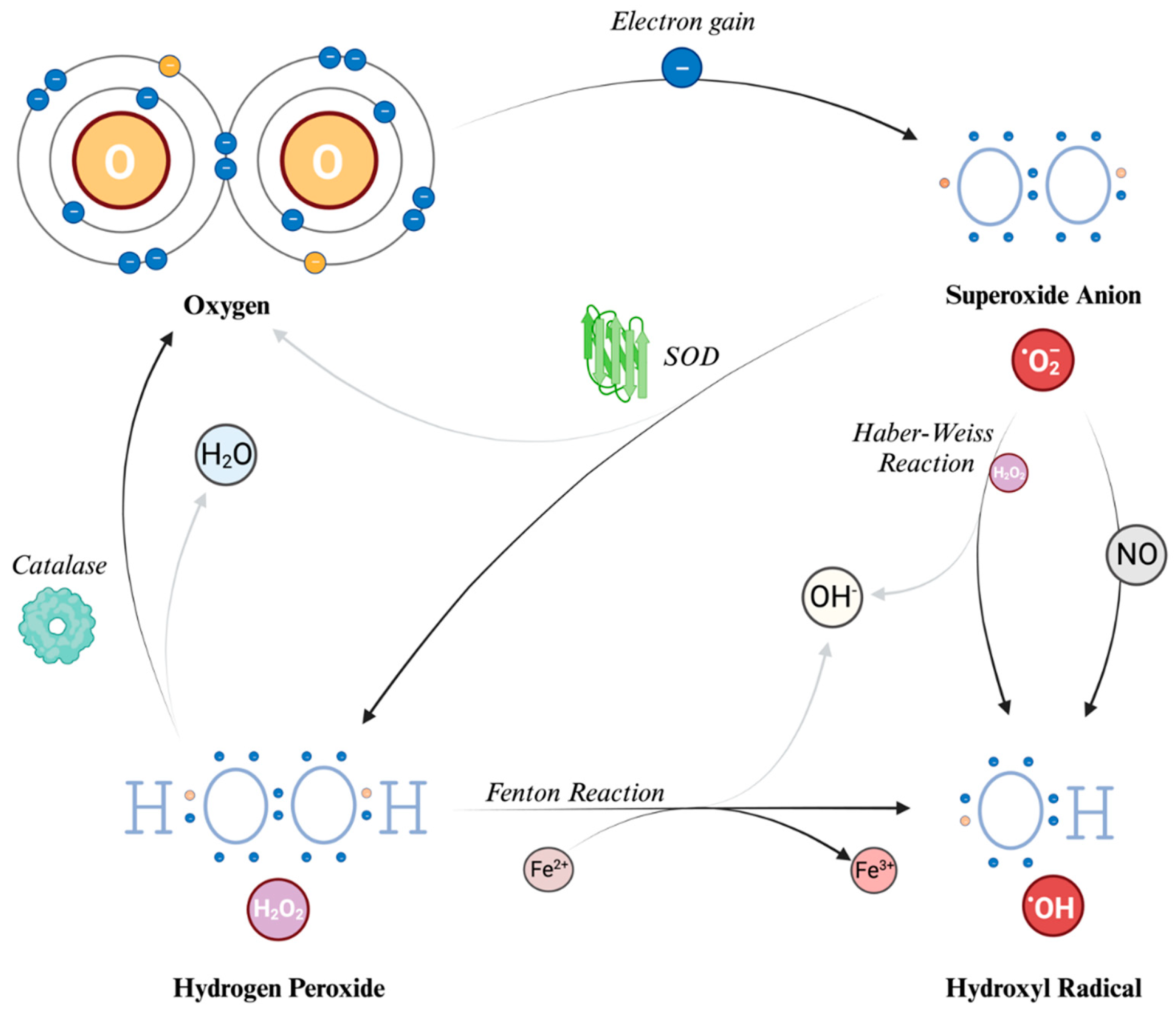 Preprints 95679 g002