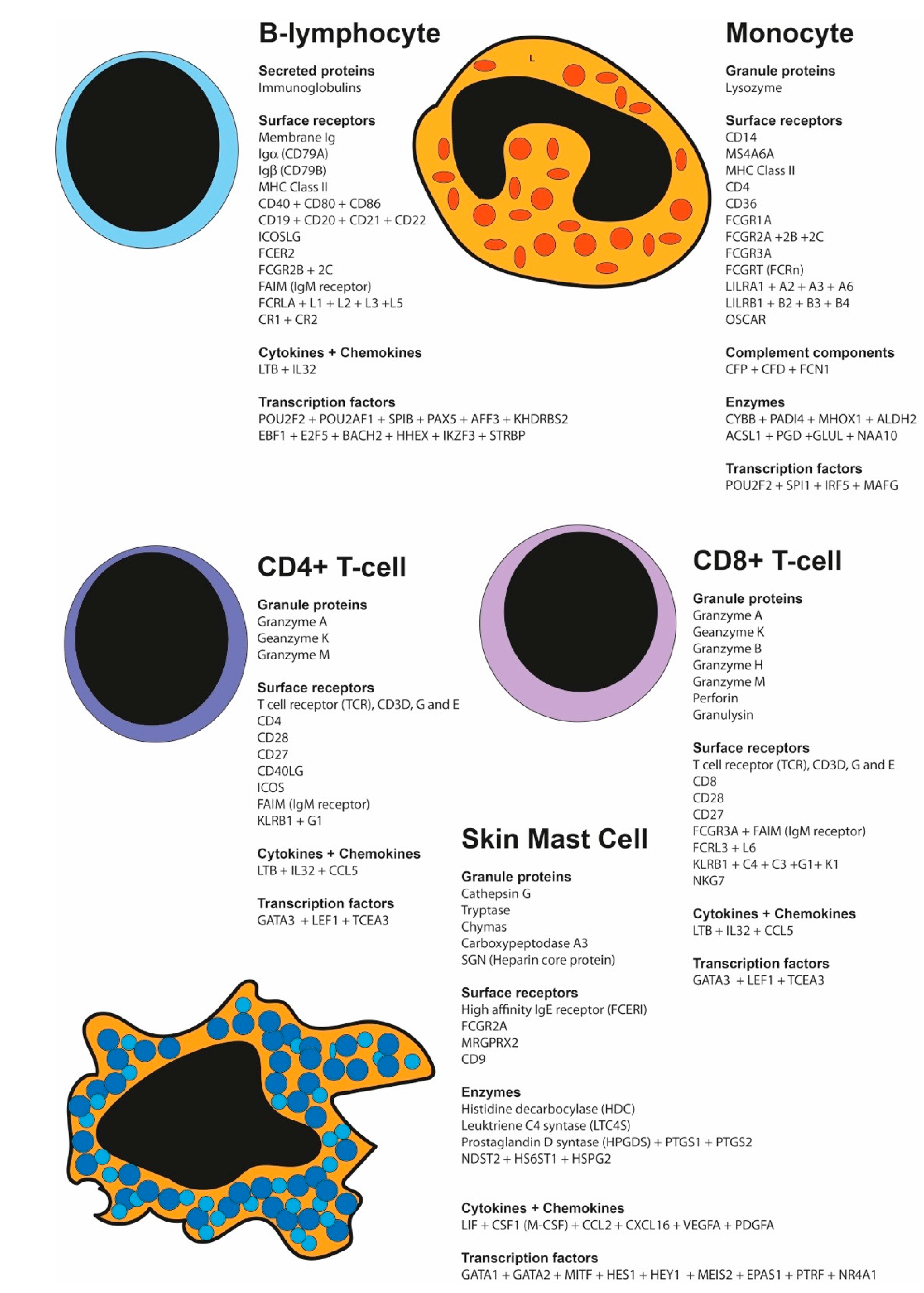 Preprints 139451 g002