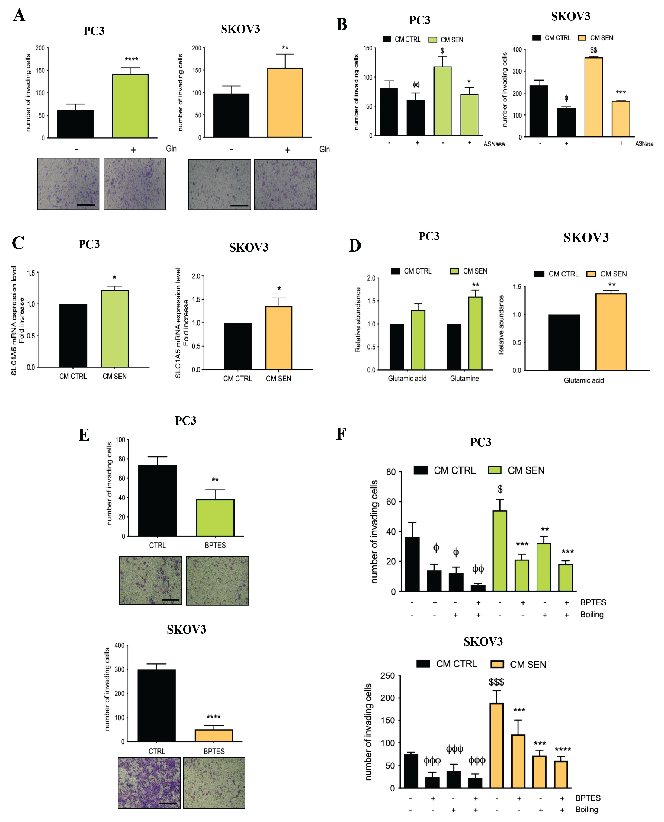 Preprints 201256 g002