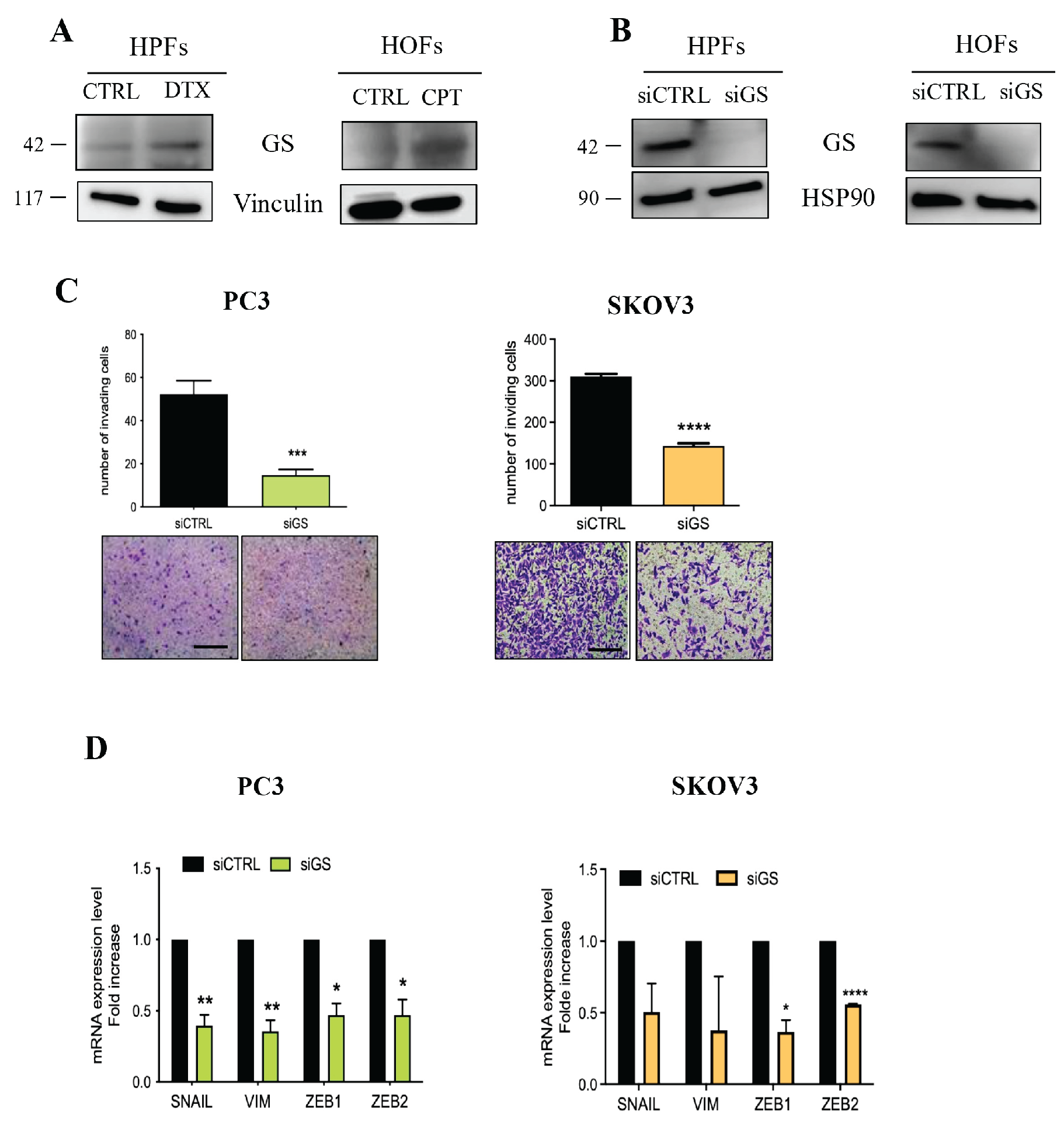 Preprints 201256 g004