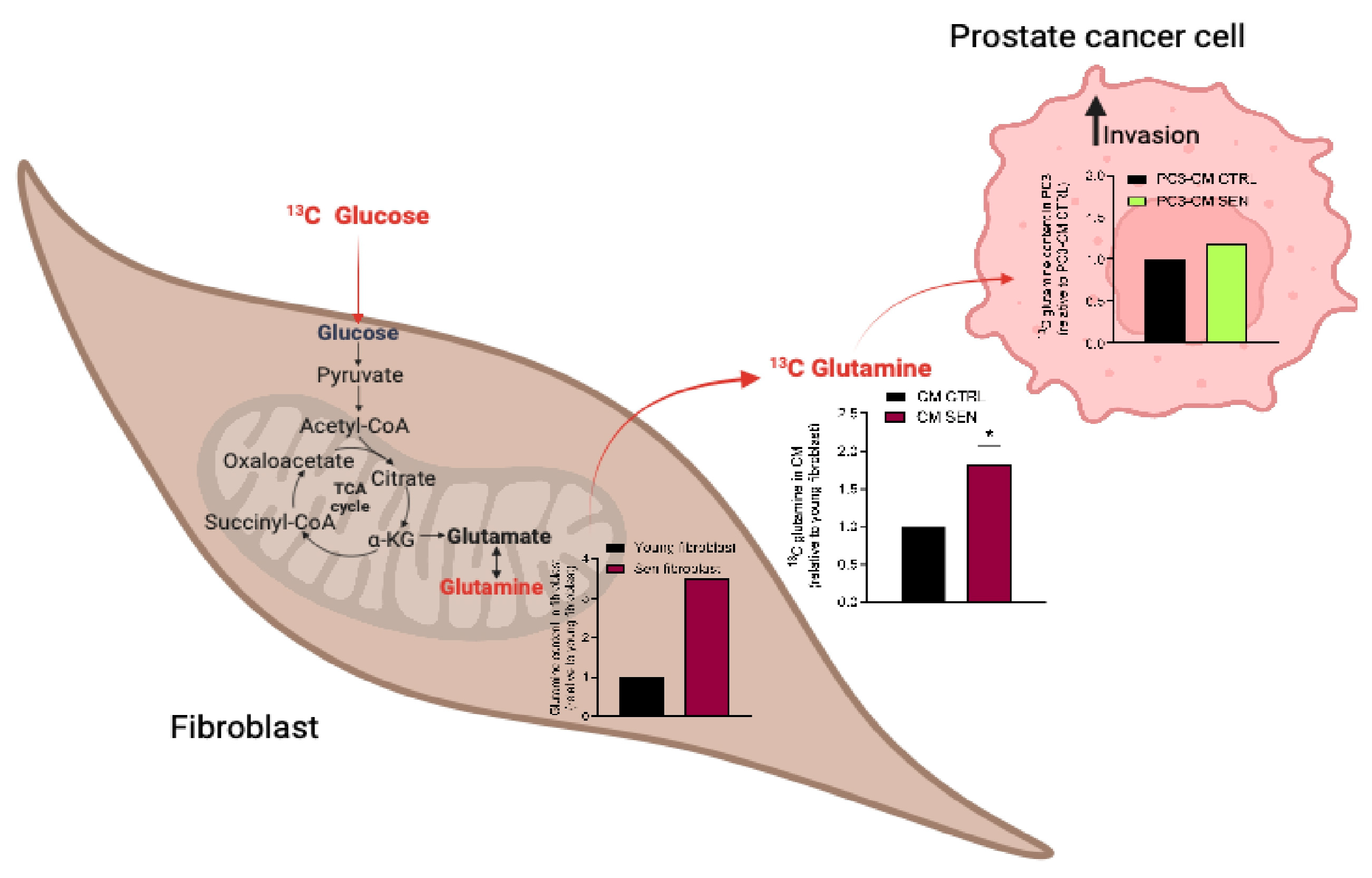 Preprints 201256 g005