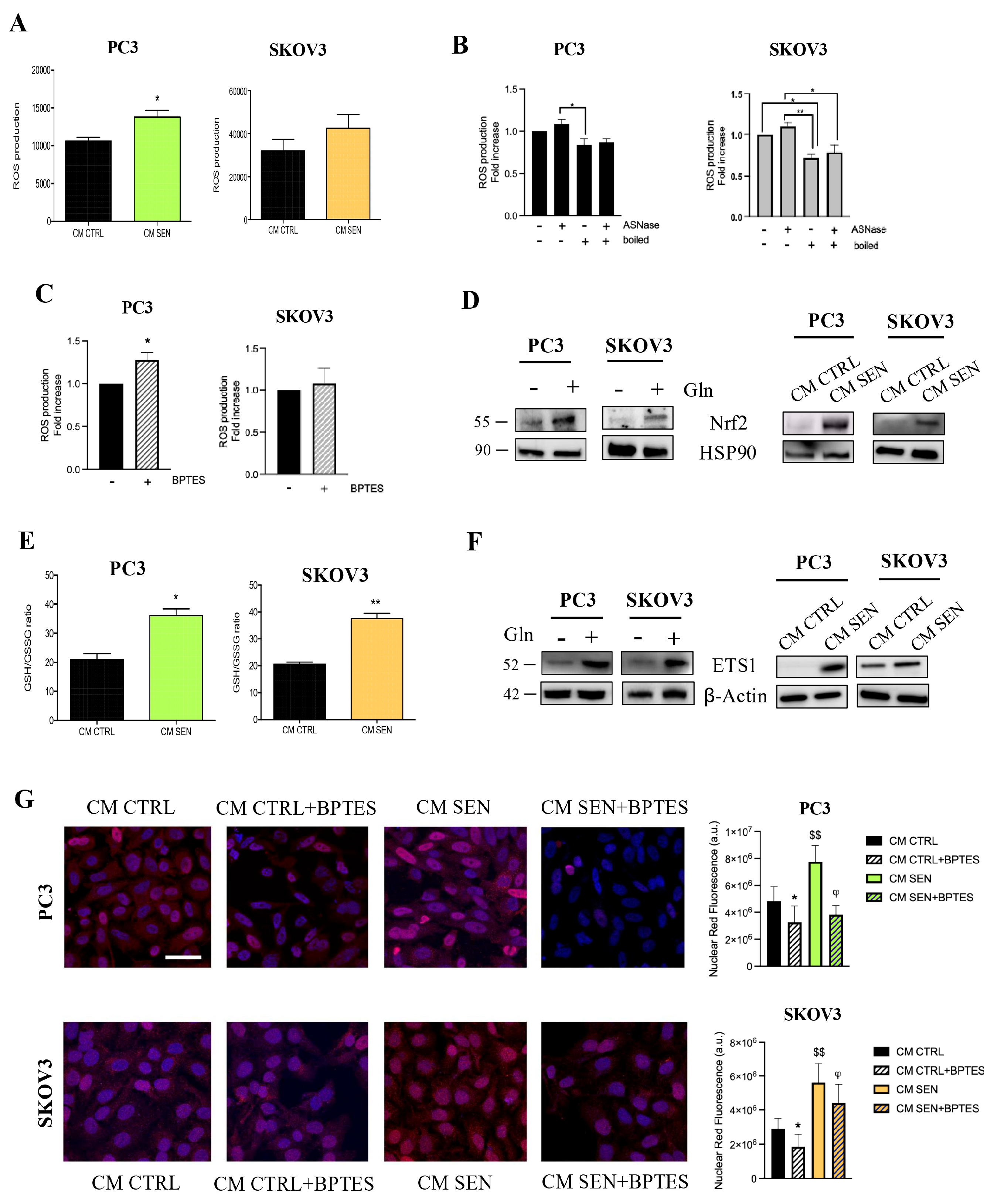 Preprints 201256 g006