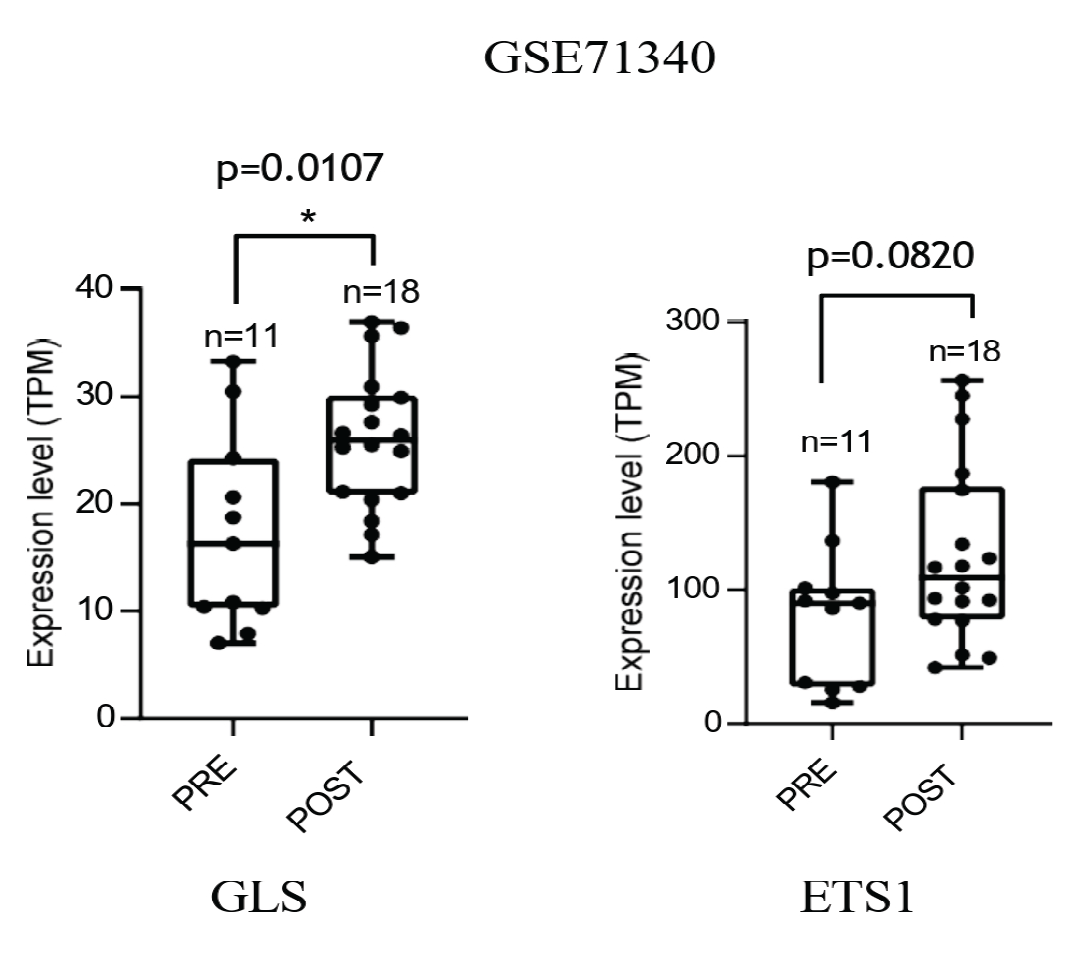Preprints 201256 g007