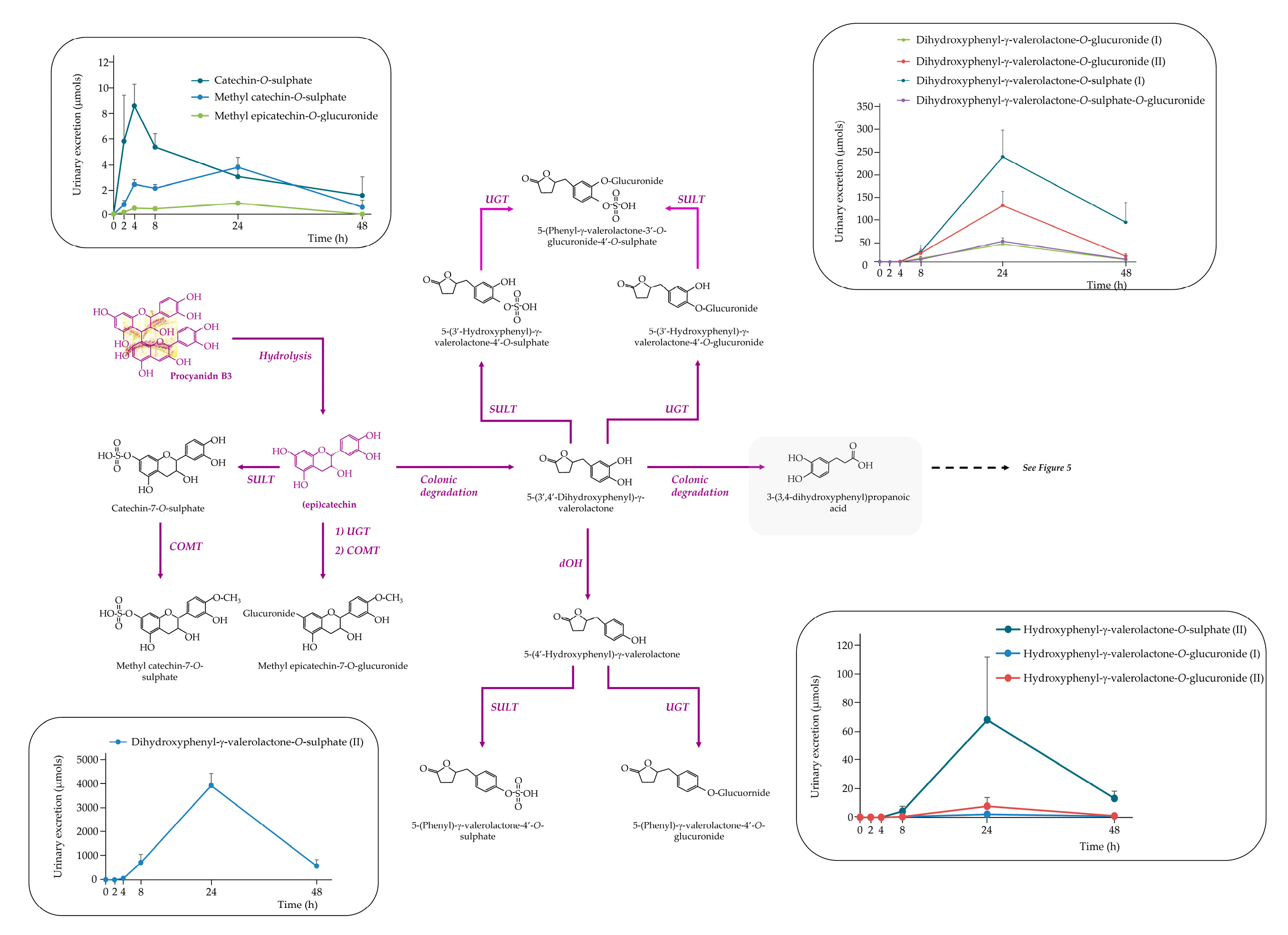 Preprints 168420 g004