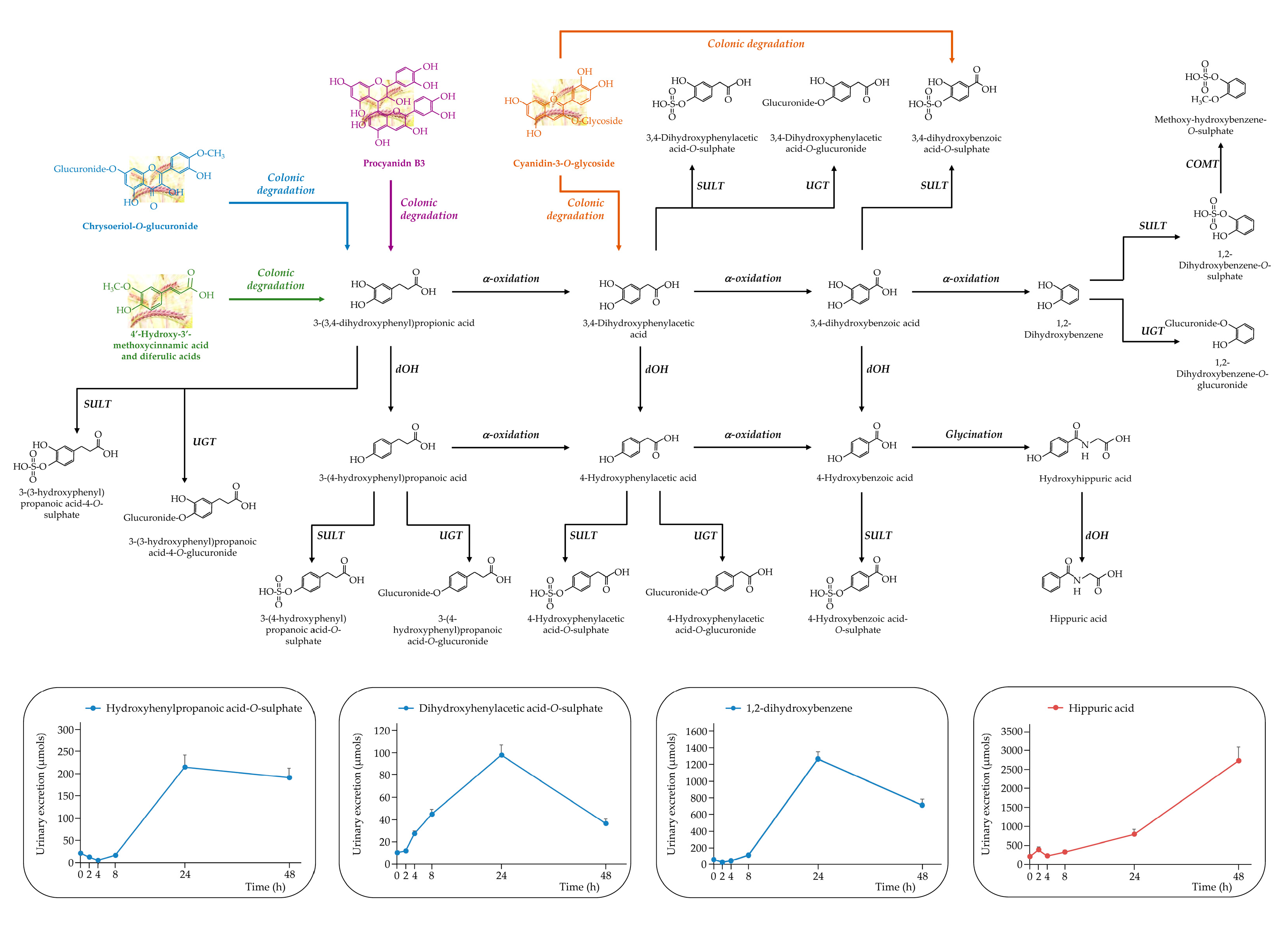Preprints 168420 g005