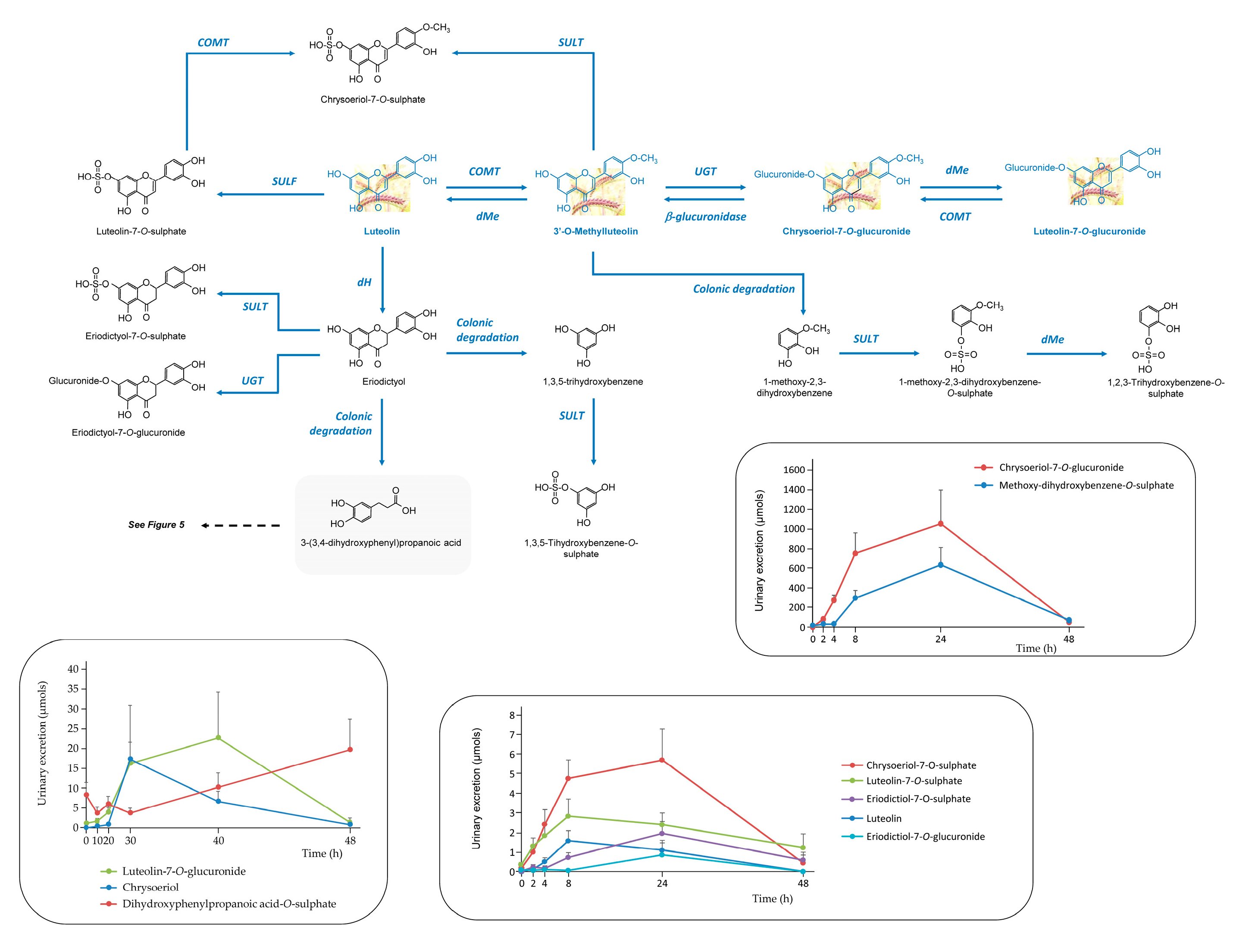 Preprints 168420 g006