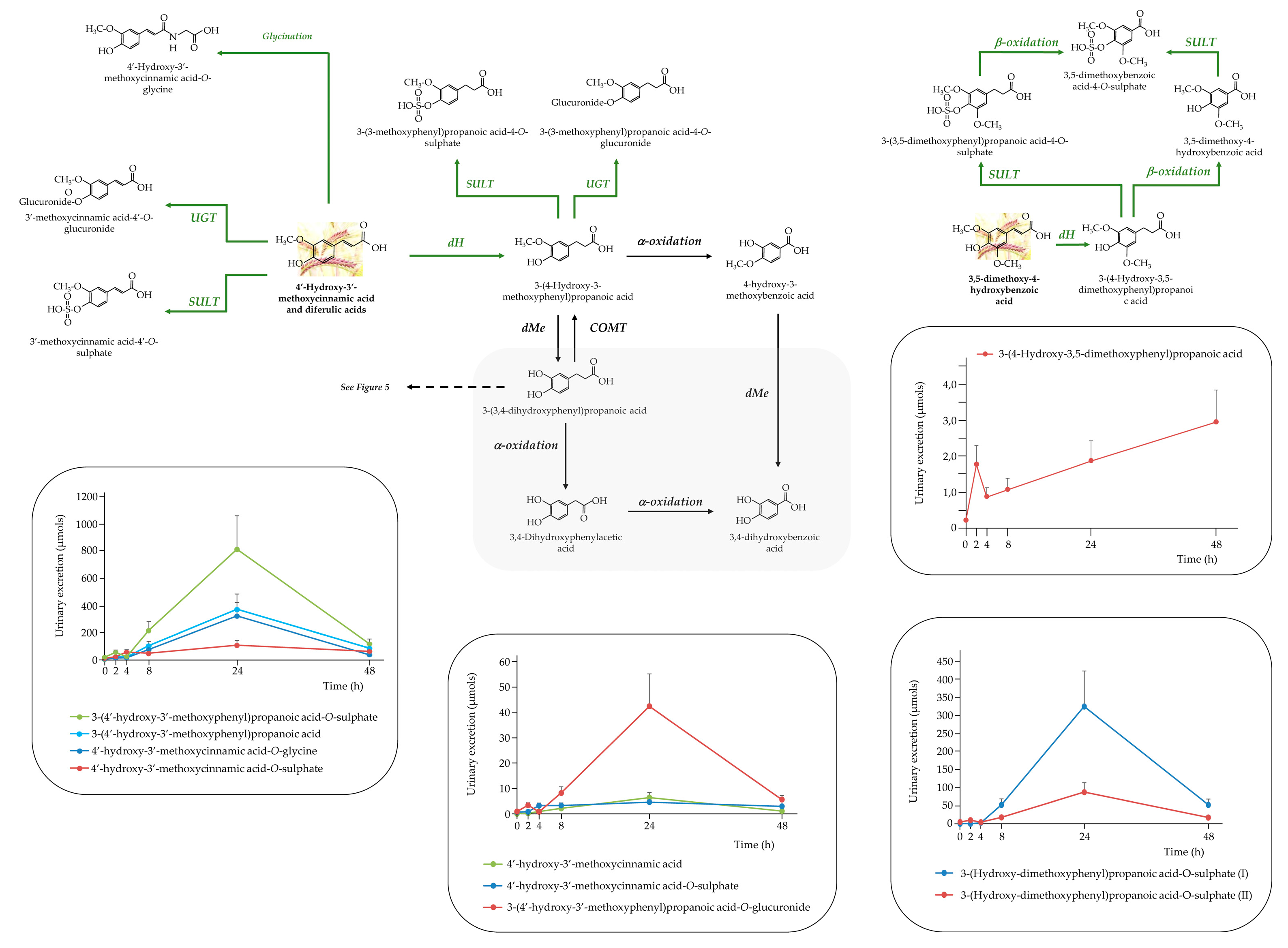 Preprints 168420 g007