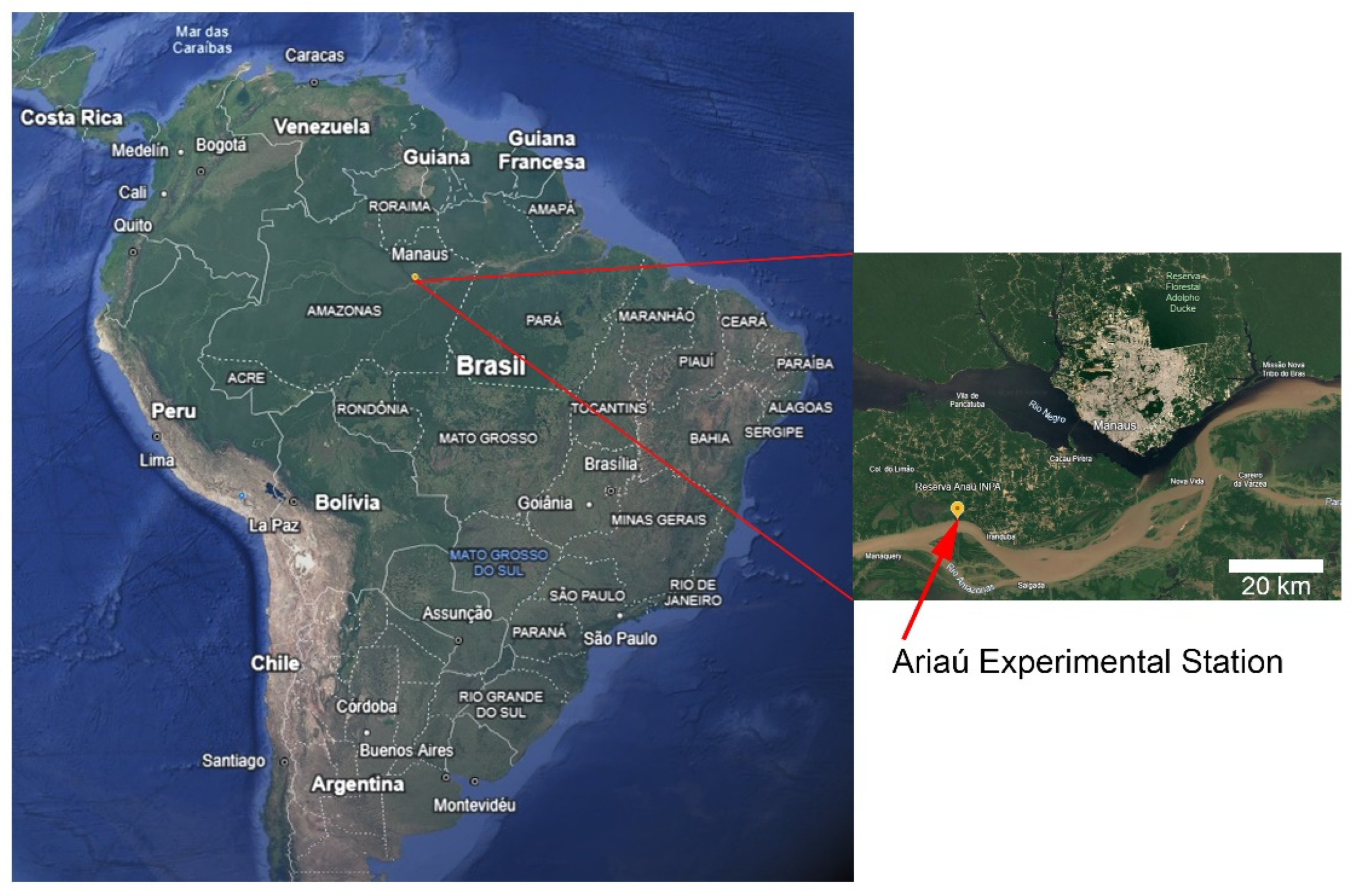 Preprints 161344 g002