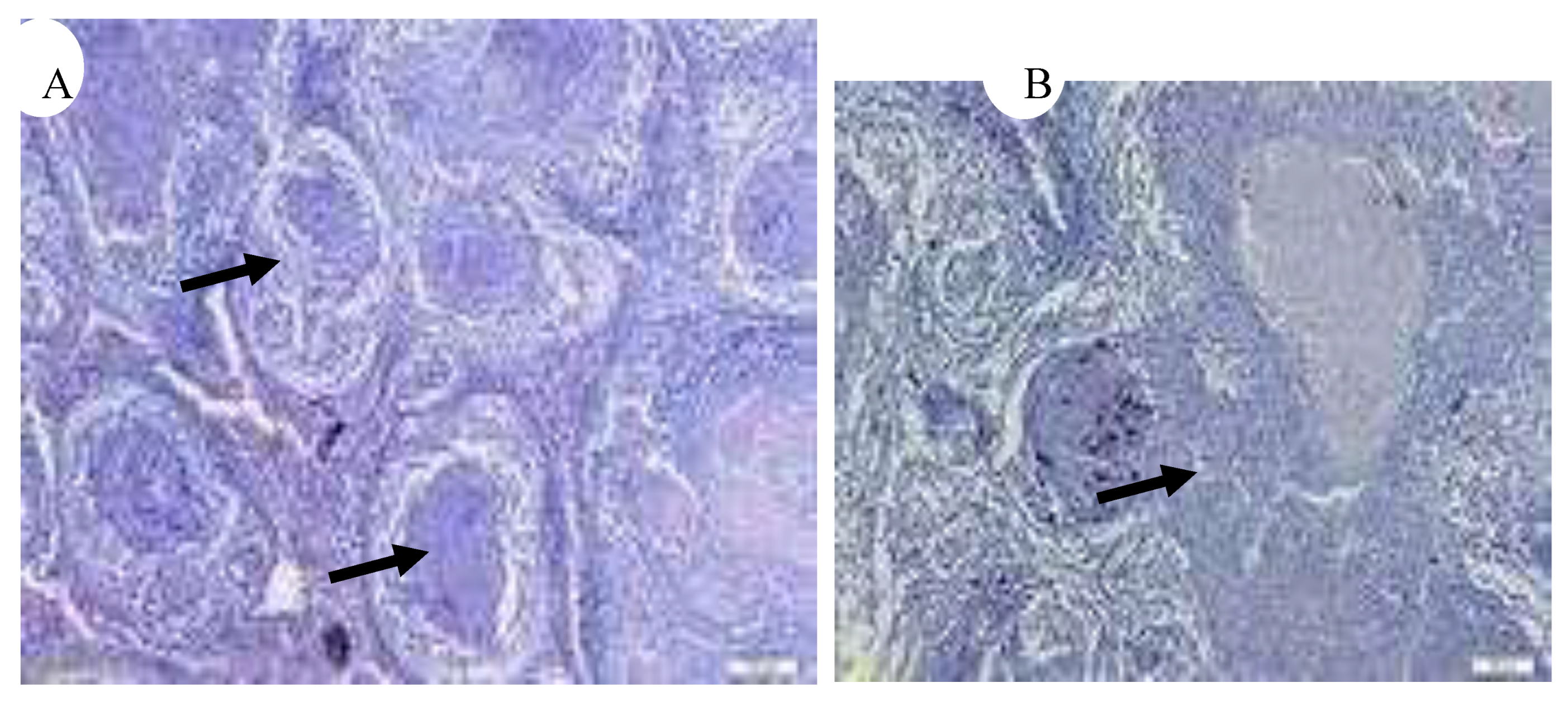 Preprints 163514 g016