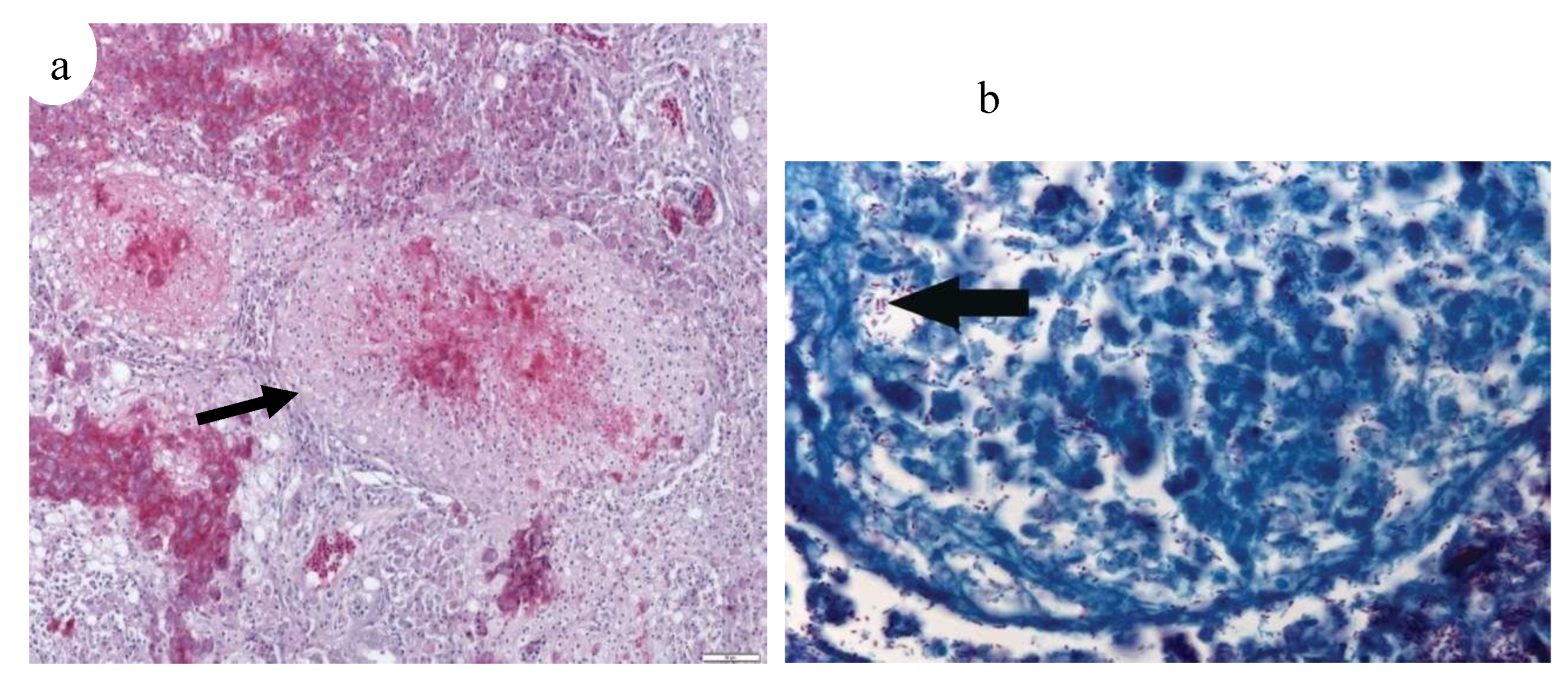 Preprints 163514 g018