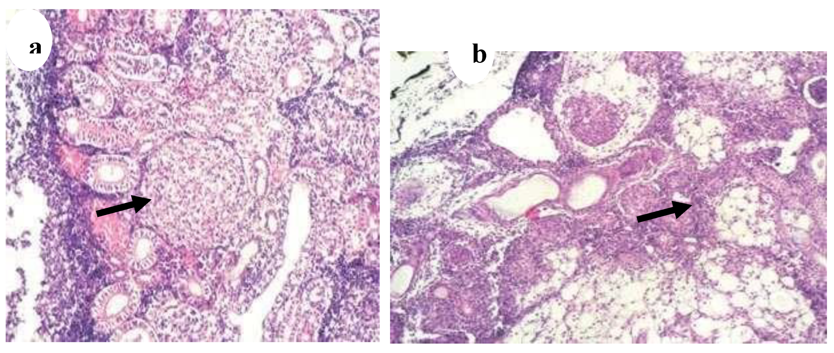 Preprints 163514 g019