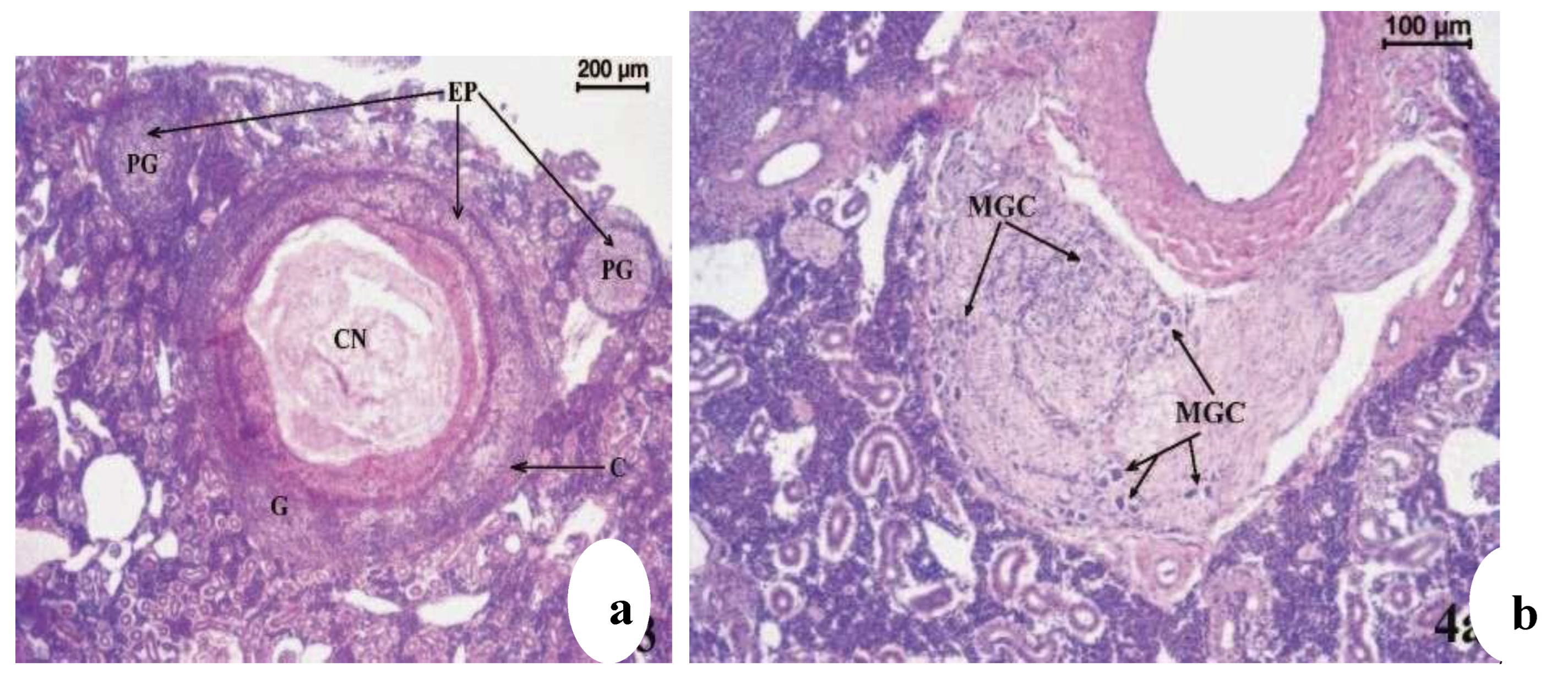 Preprints 163514 g020