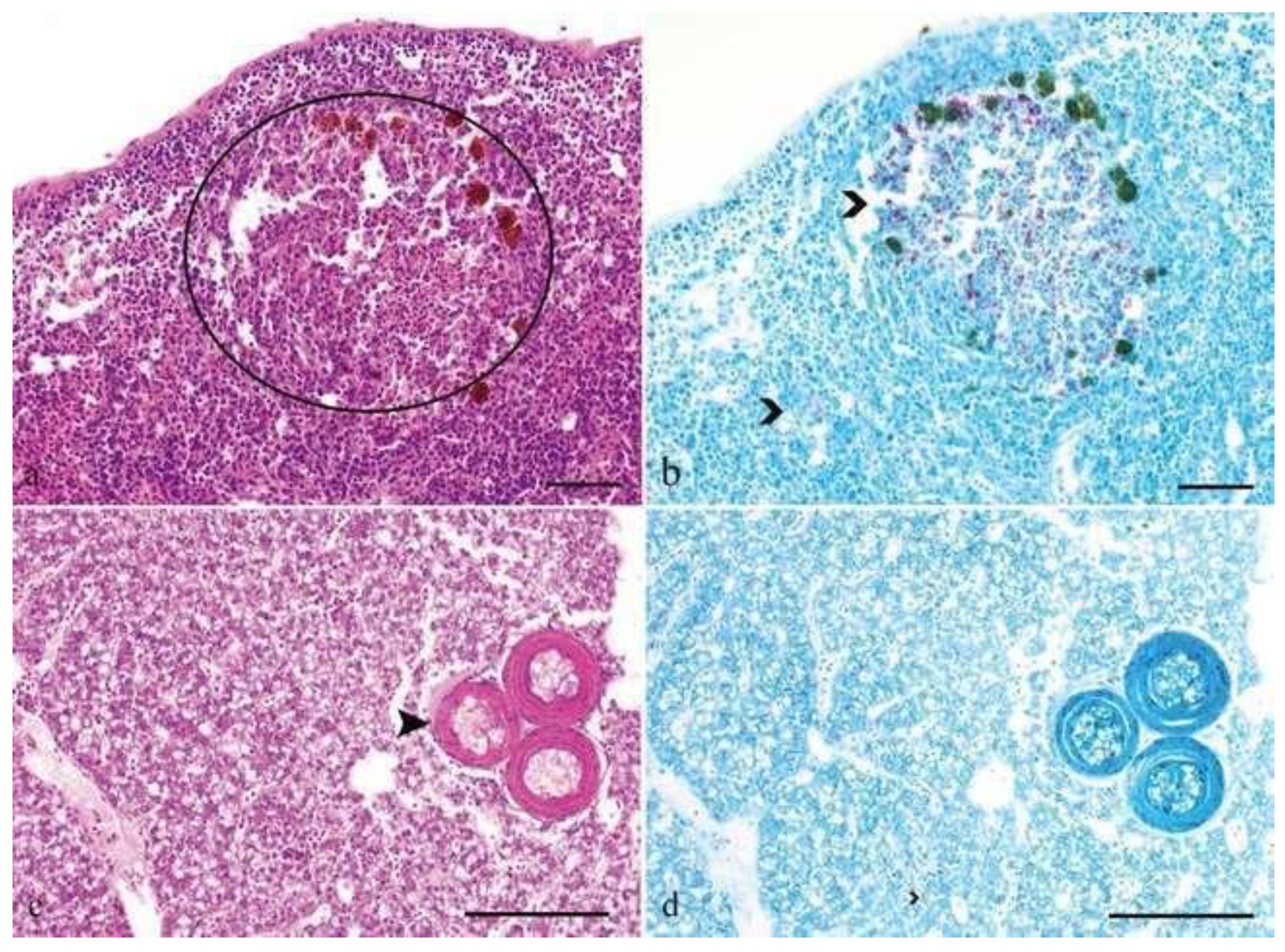Preprints 163514 g022