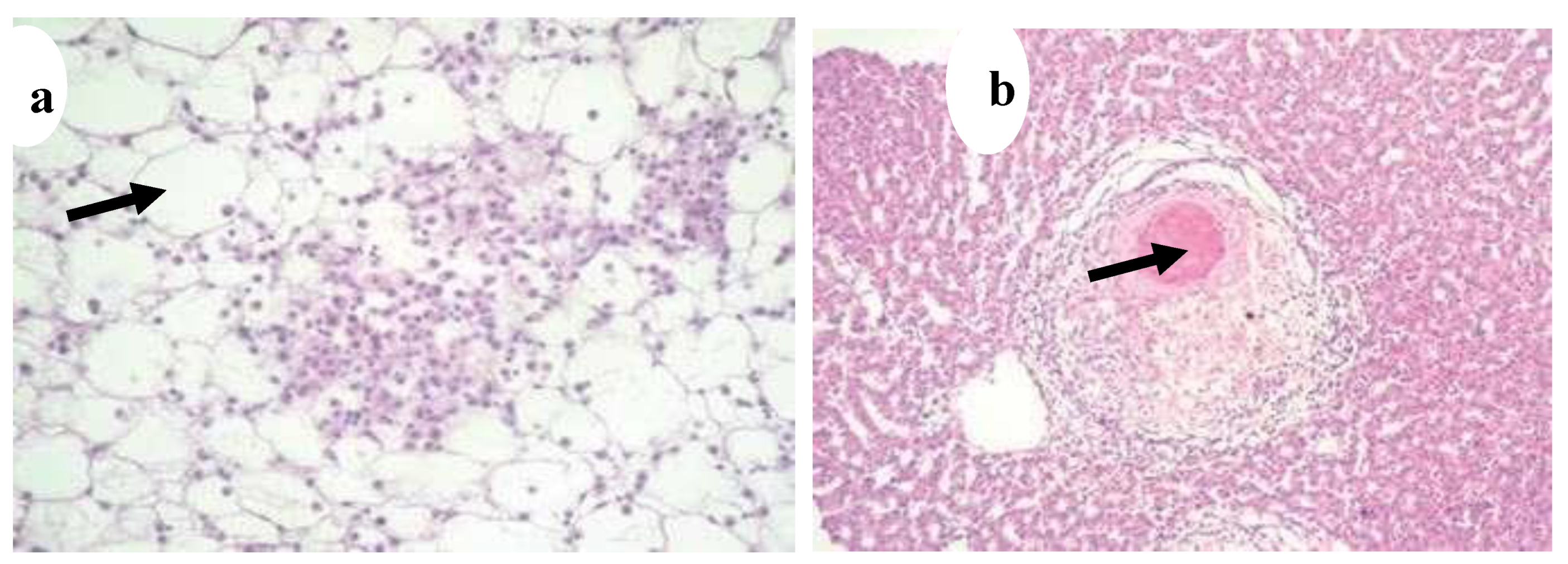 Preprints 163514 g023