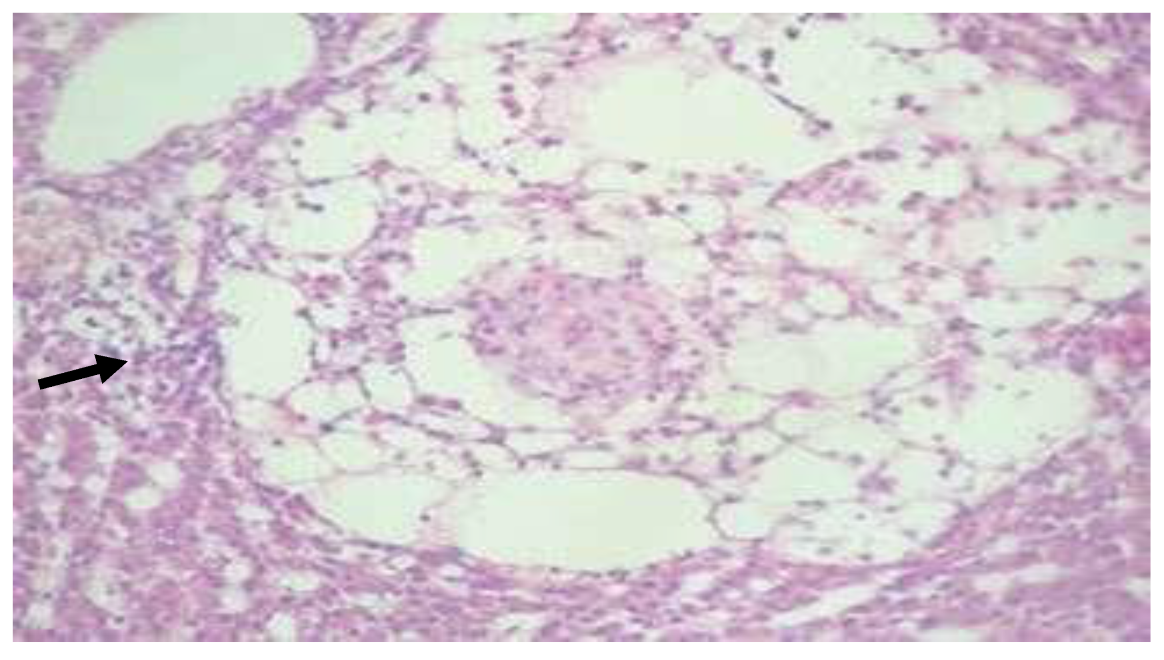 Preprints 163514 g024