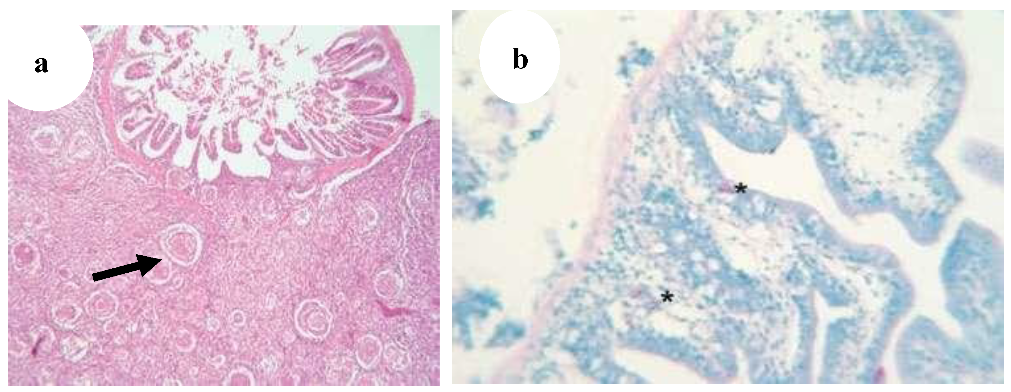 Preprints 163514 g029