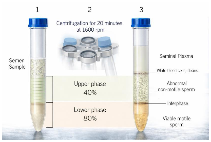 Preprints 210980 g001