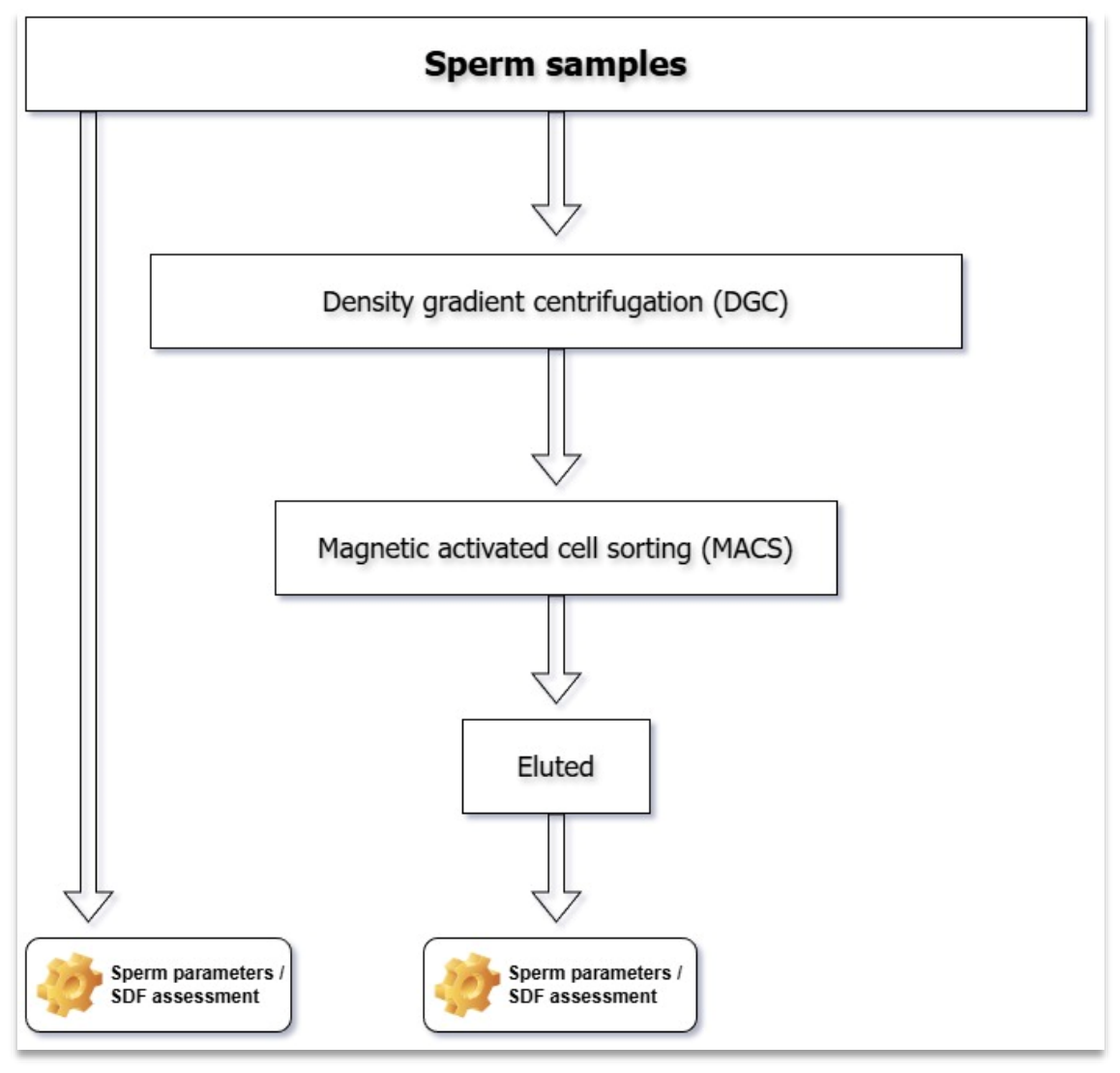Preprints 210980 g004