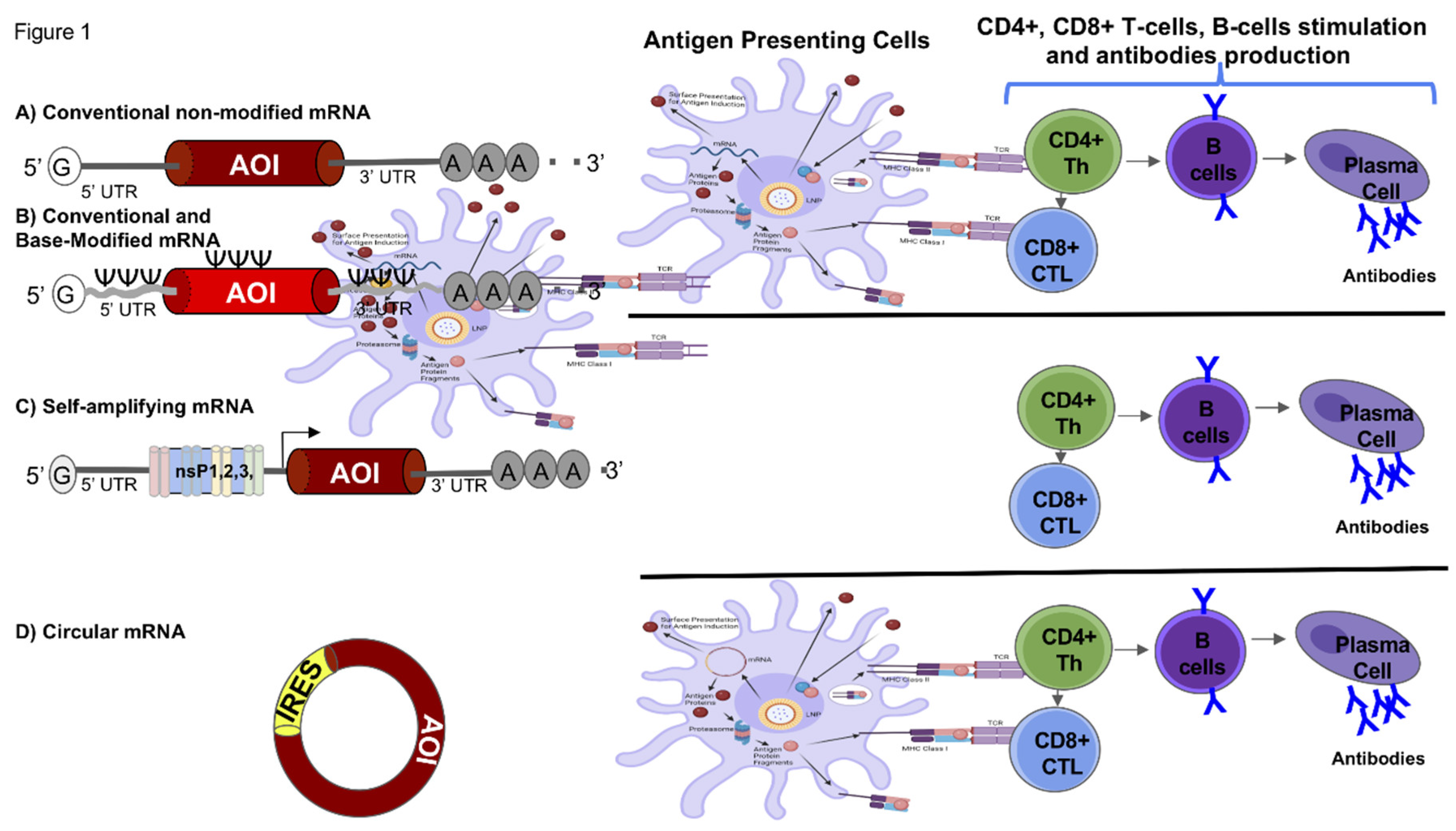 Preprints 121795 g001