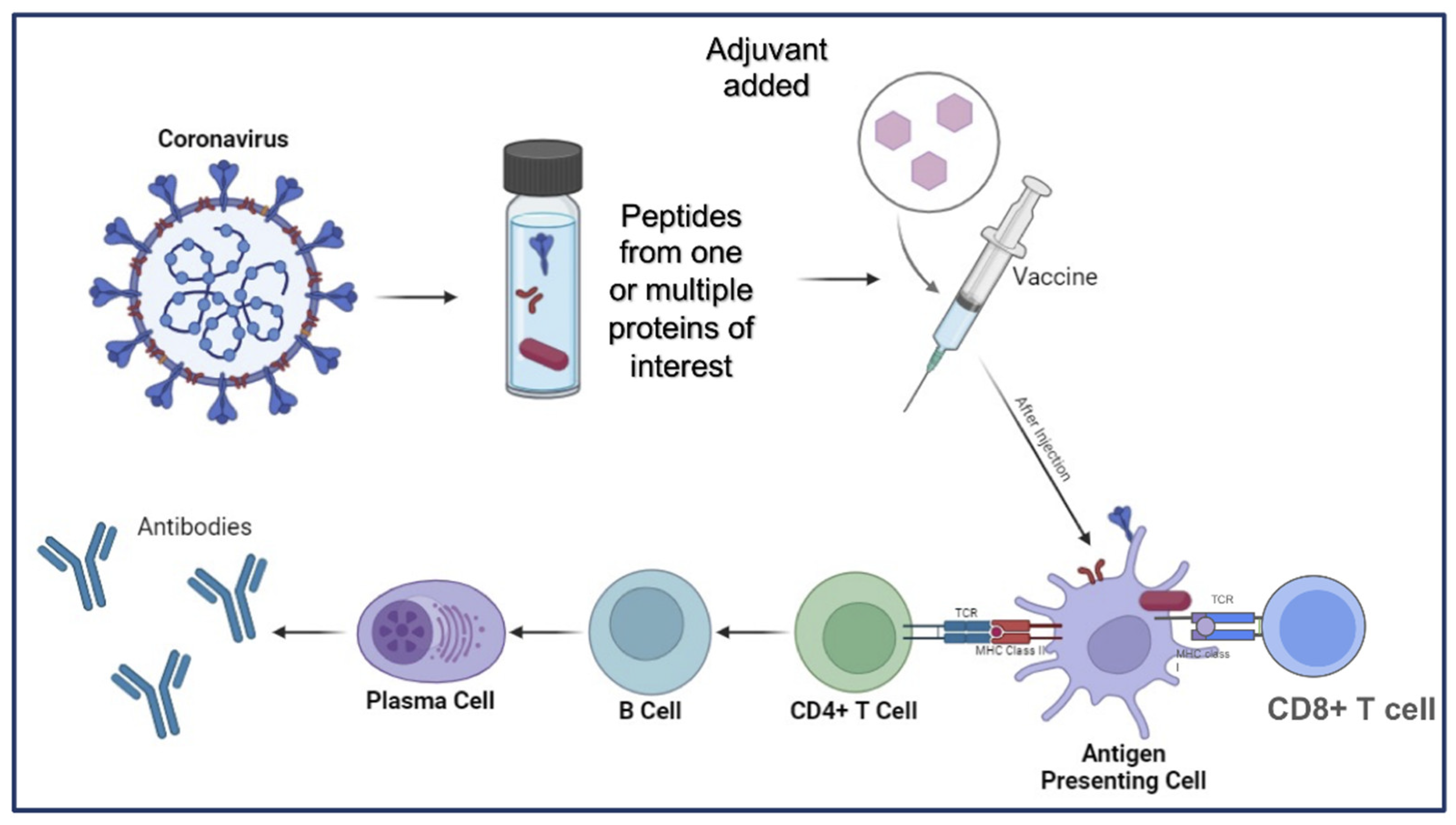 Preprints 121795 g002