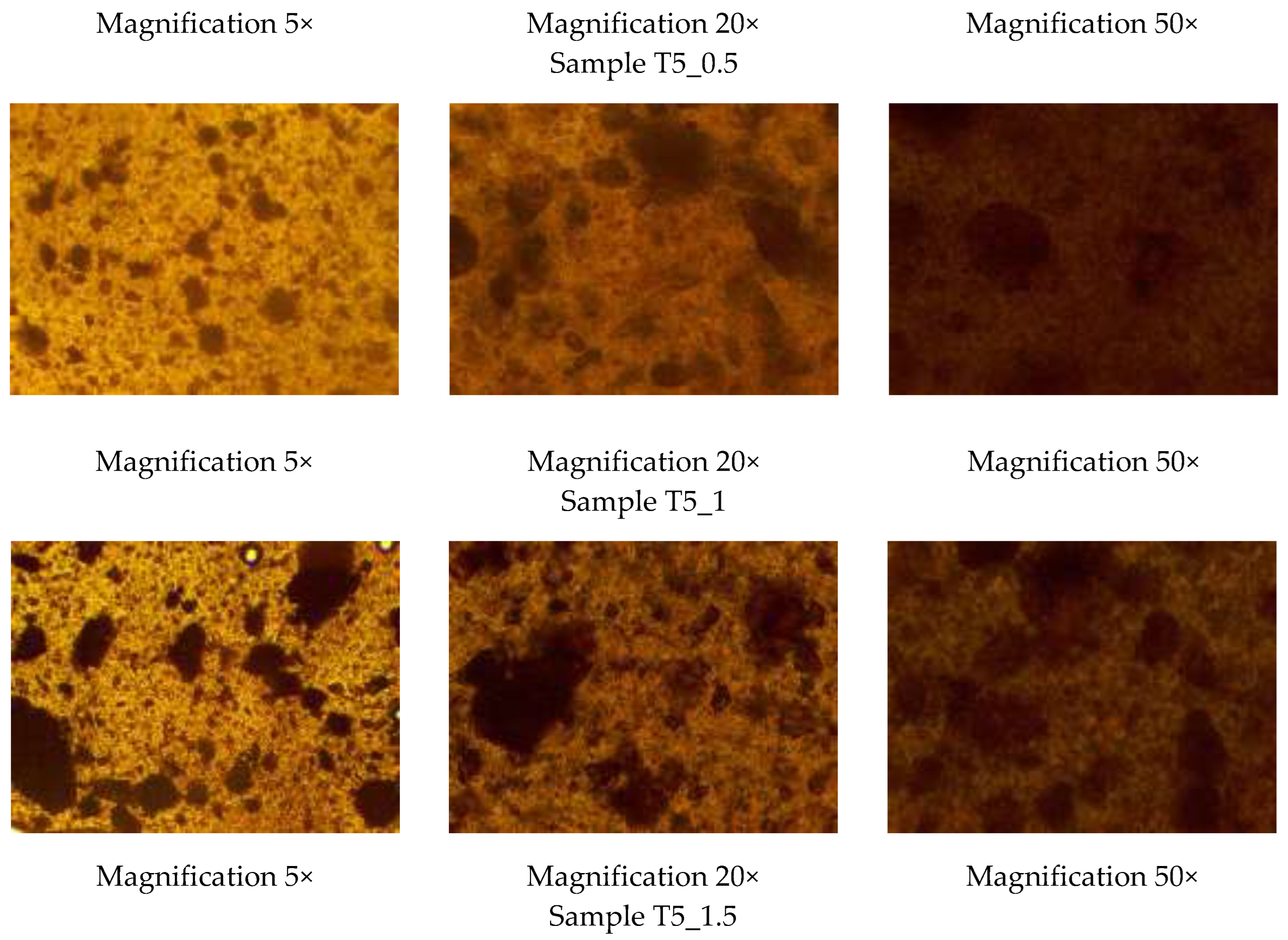 Preprints 146950 g001b