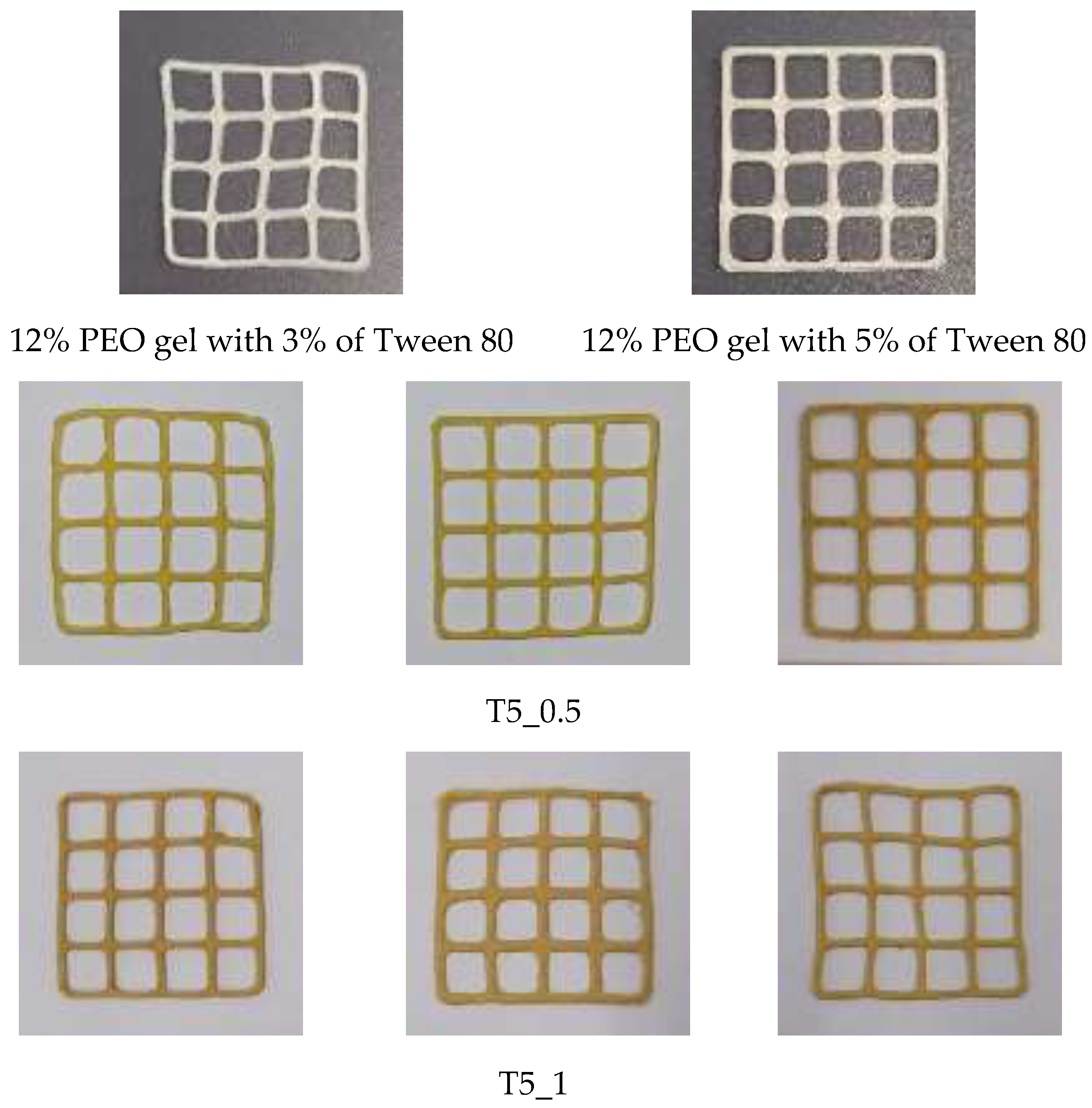 Preprints 146950 g002a