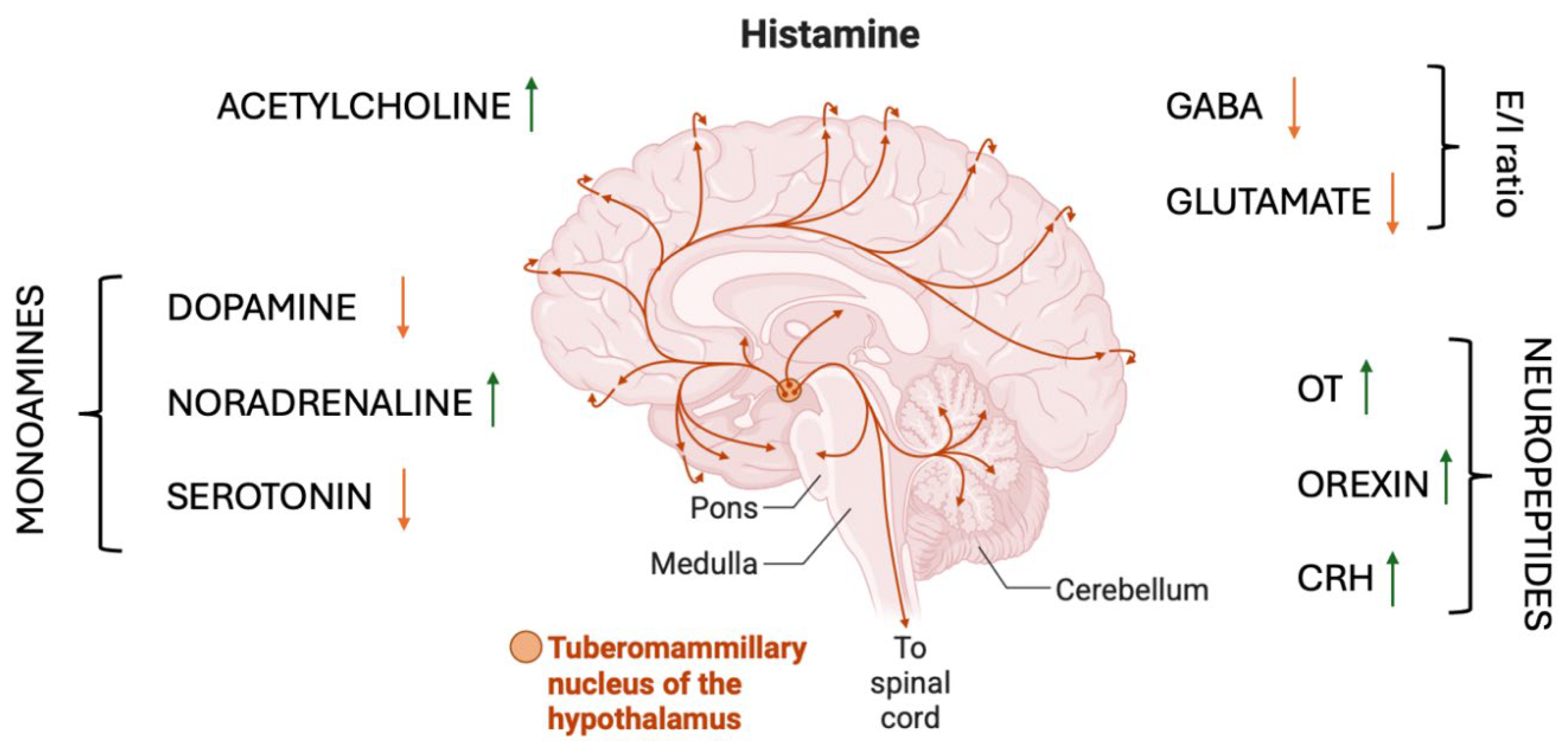 Preprints 197088 g001