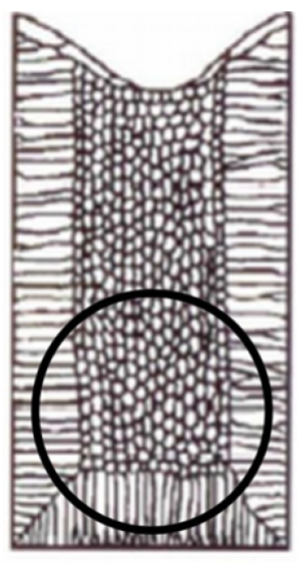 Preprints 171172 g007