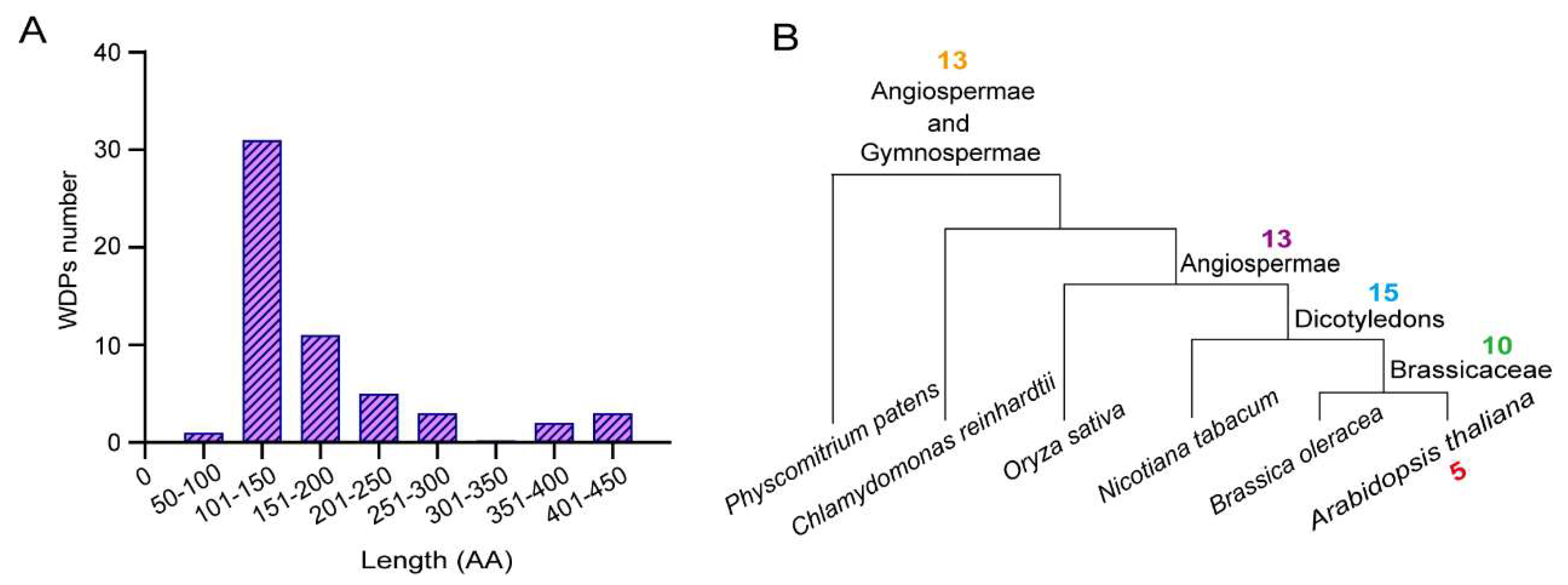 Preprints 143318 g001