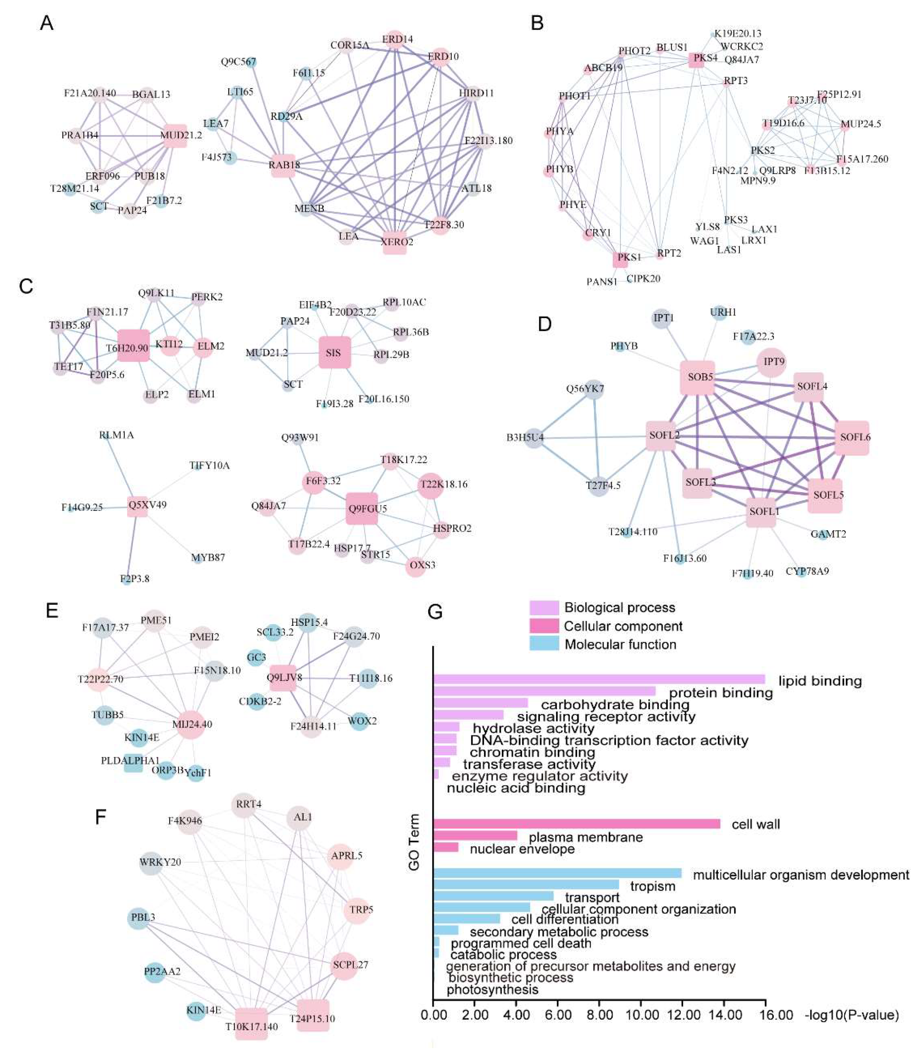 Preprints 143318 g004
