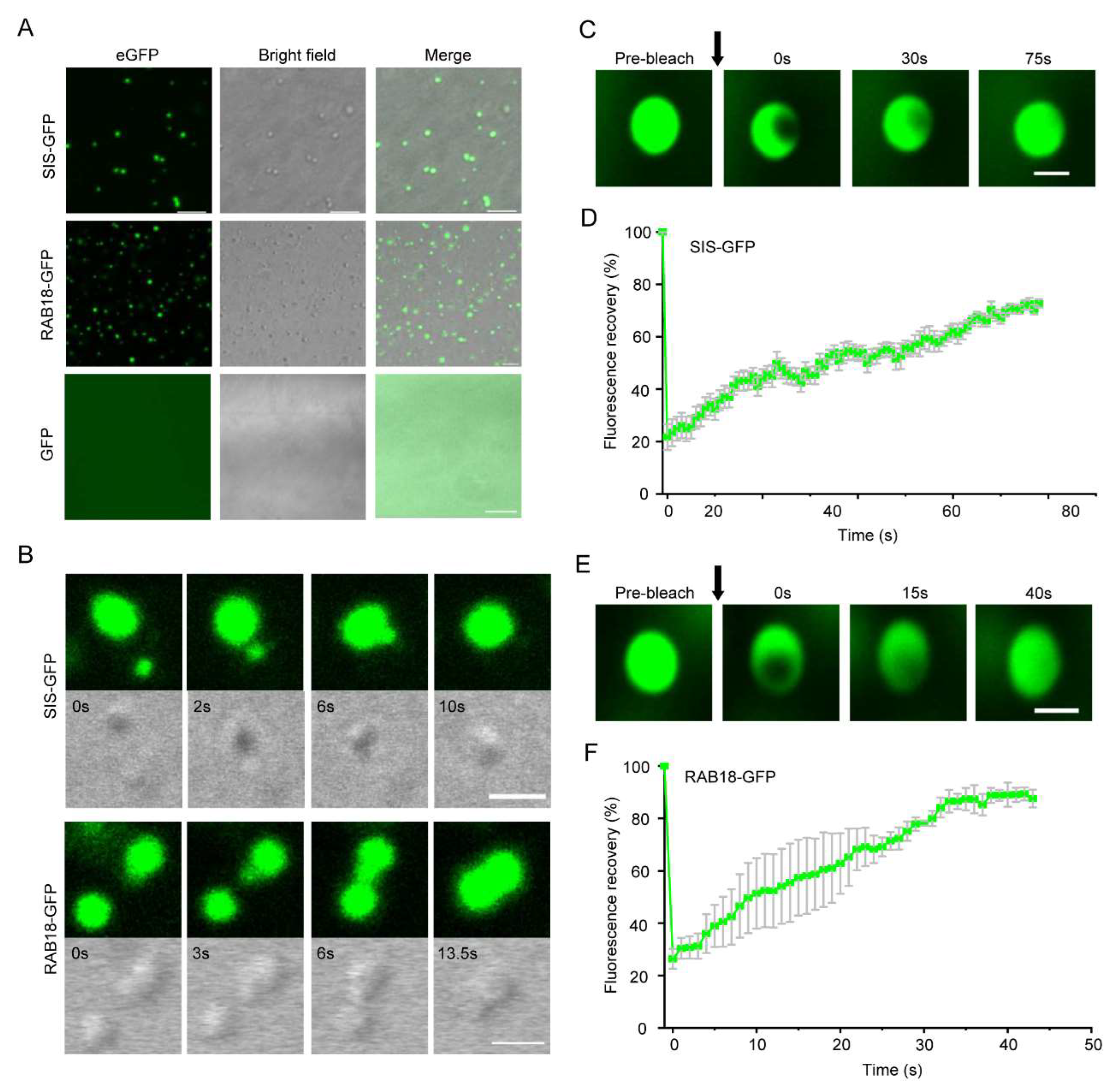 Preprints 143318 g005