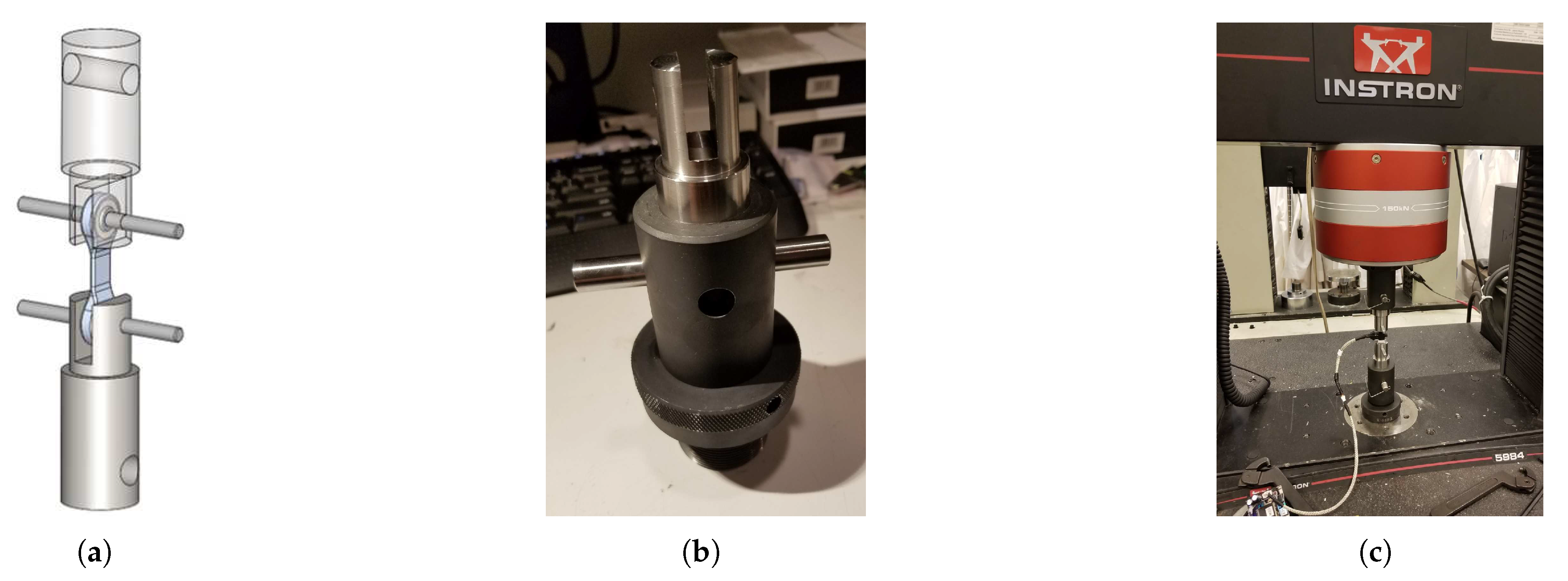 Preprints 95062 g006