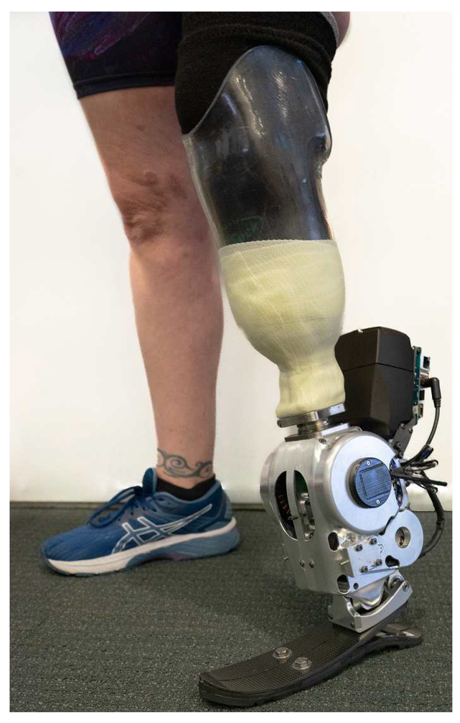 Preprints 95062 g013